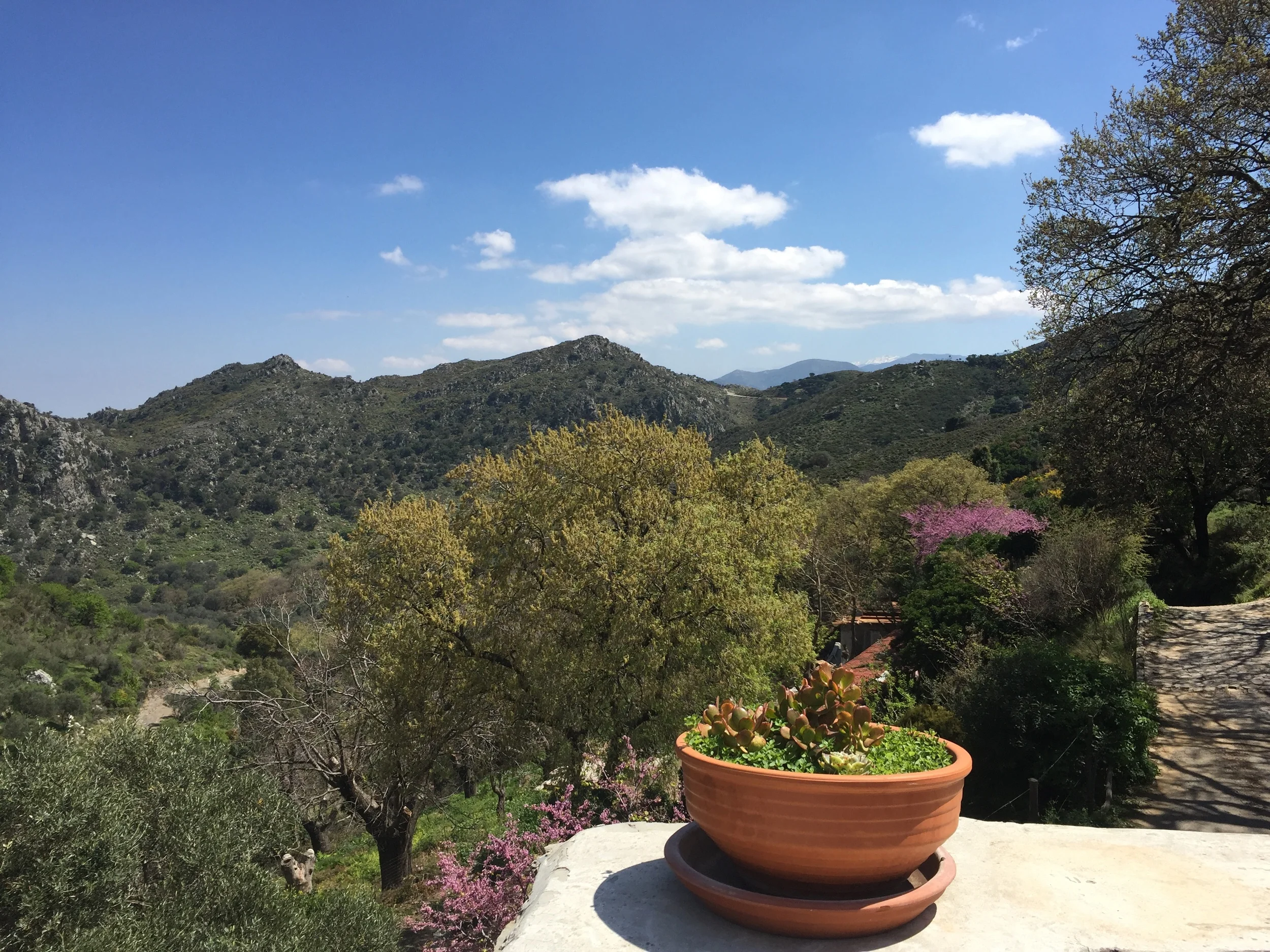 Culinary Adventures on the Island of Crete