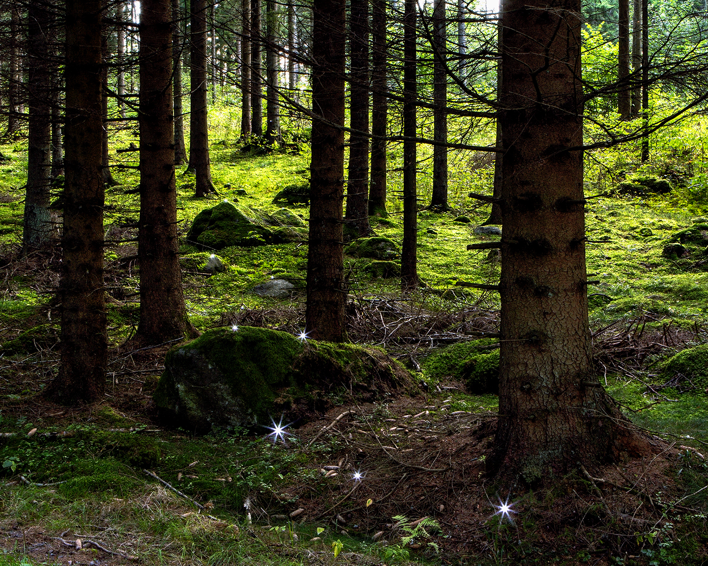 Erin Harper Vernon, Mythos I - Wandering Star, Ursa Minor (working title)