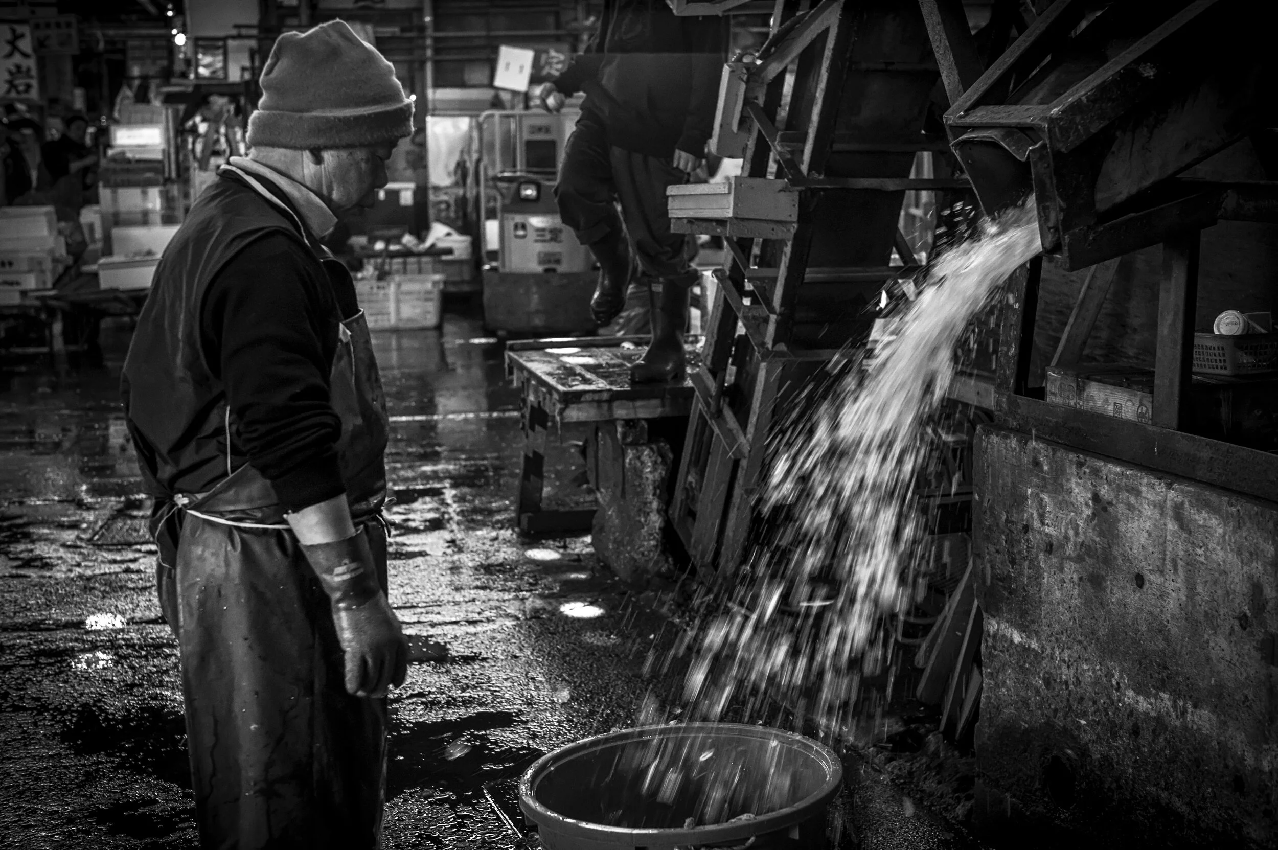uebler_fishmarket_016.jpg
