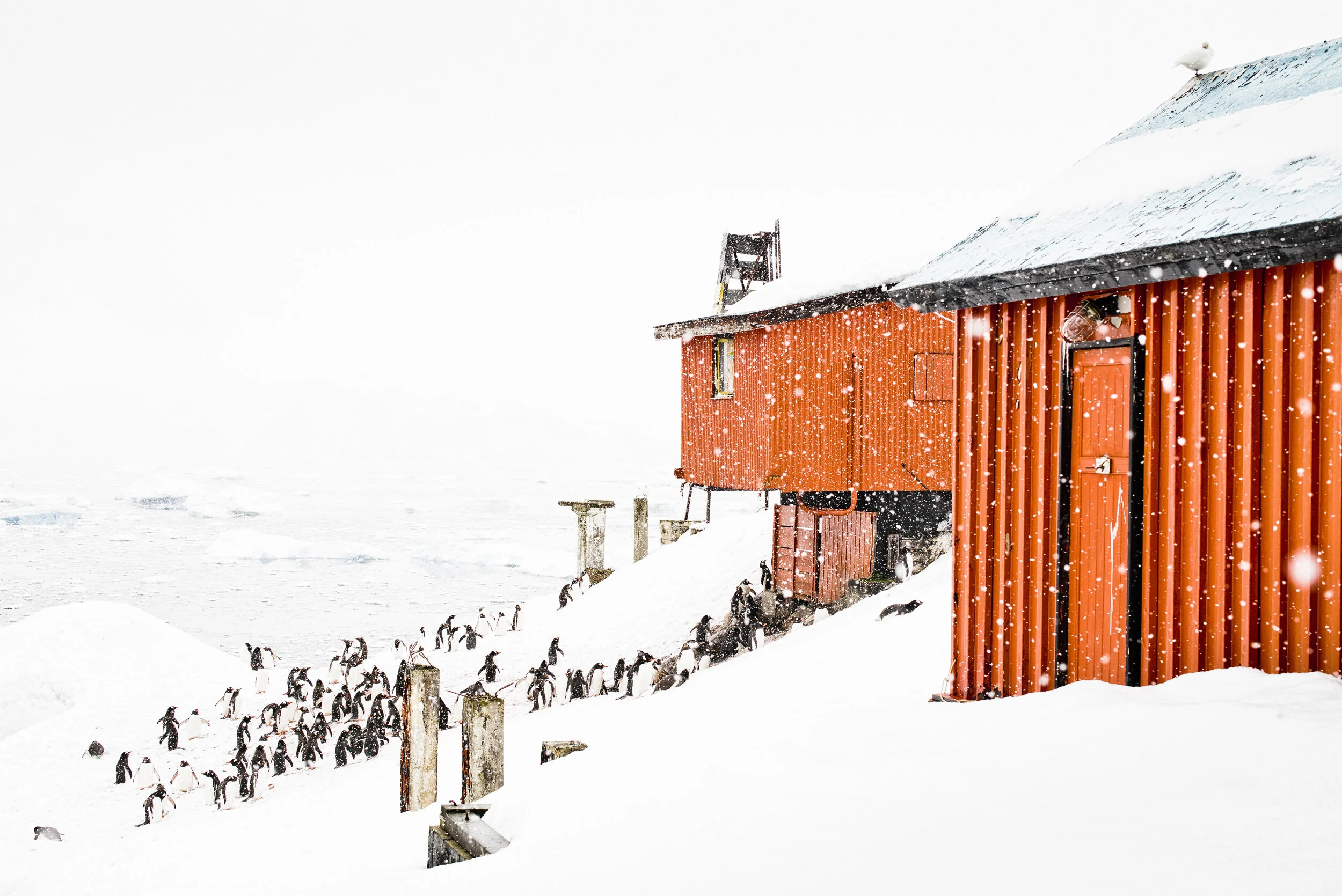 manuel_uebler_stationbrown_008.jpg