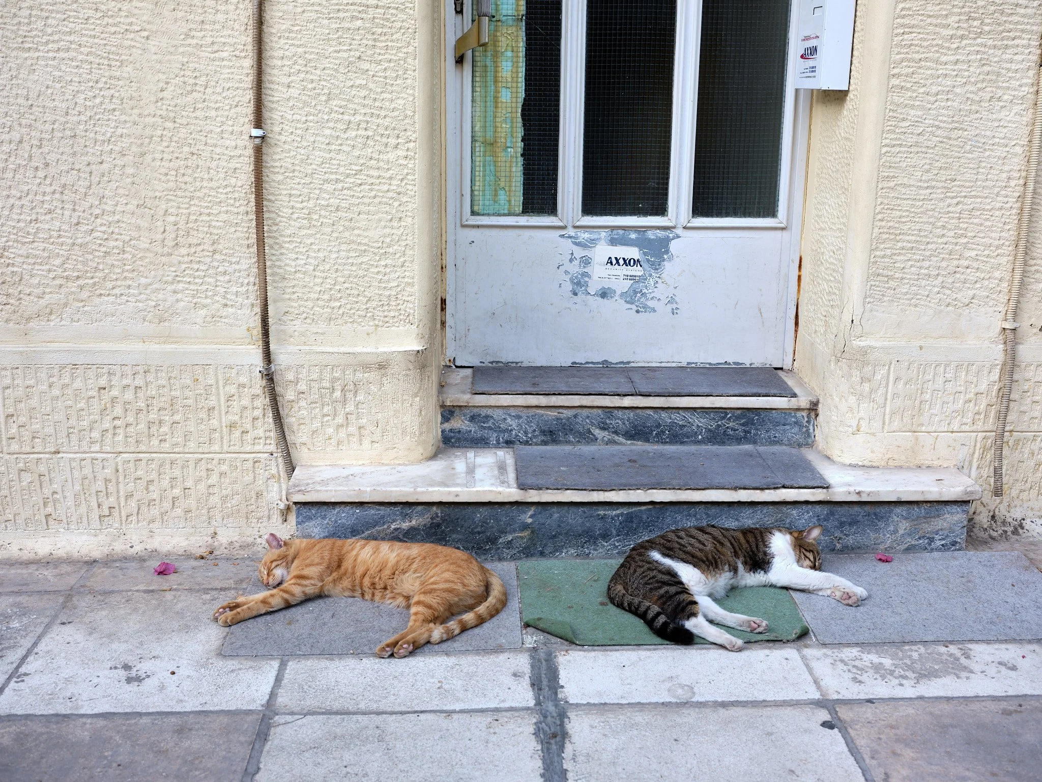DSCF1621.jpg