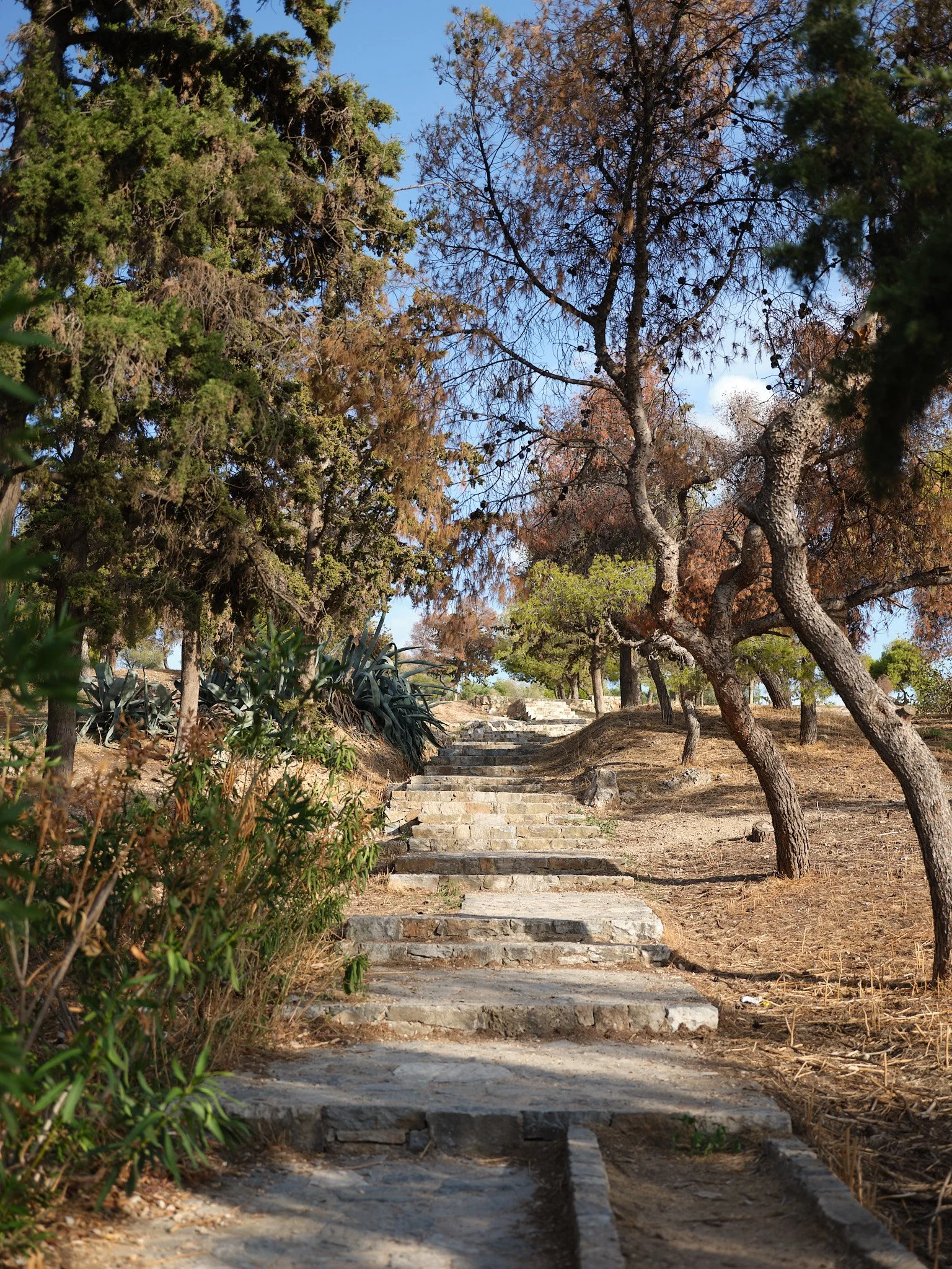 DSCF1631.jpg