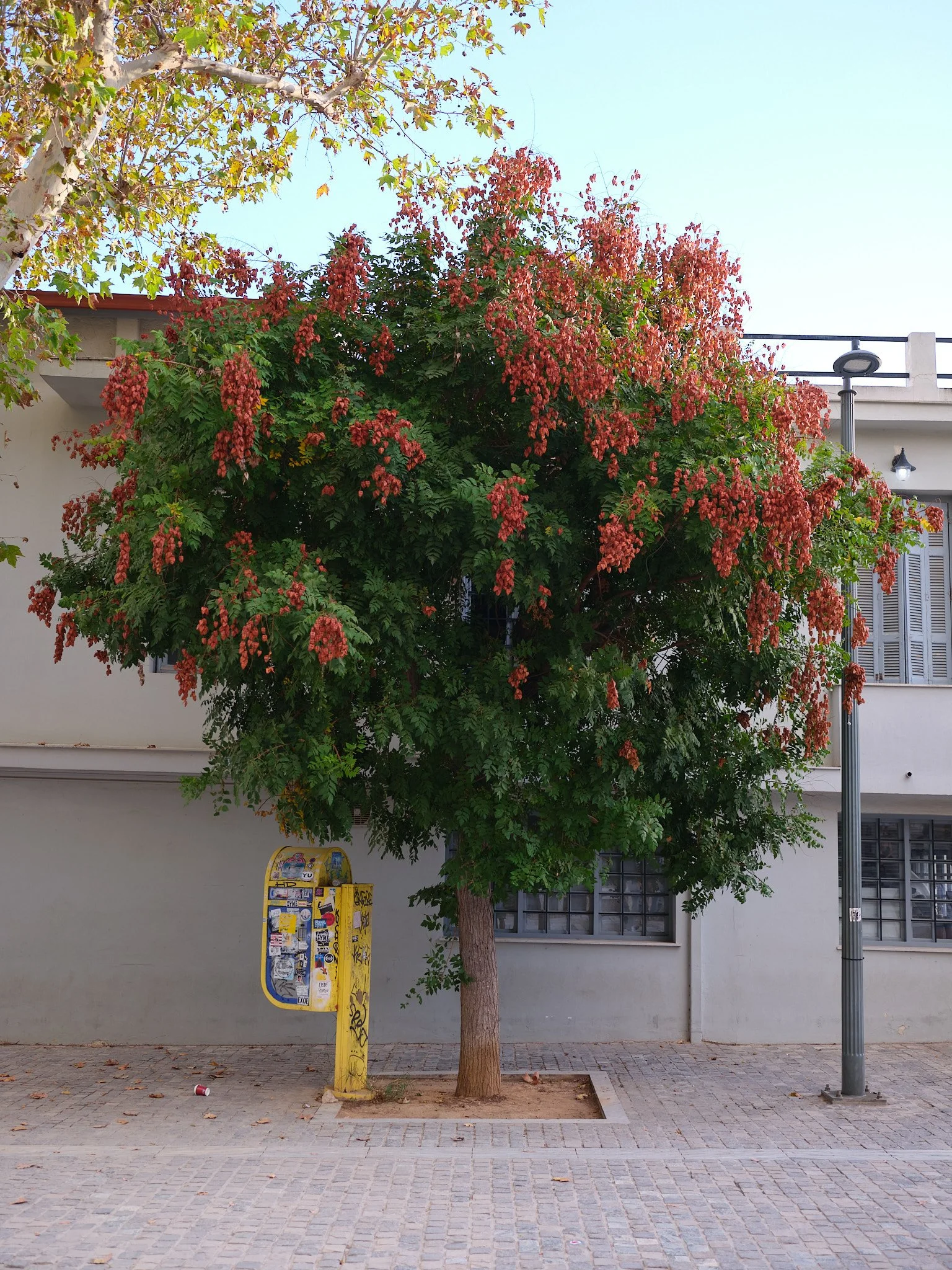DSCF1659.jpg