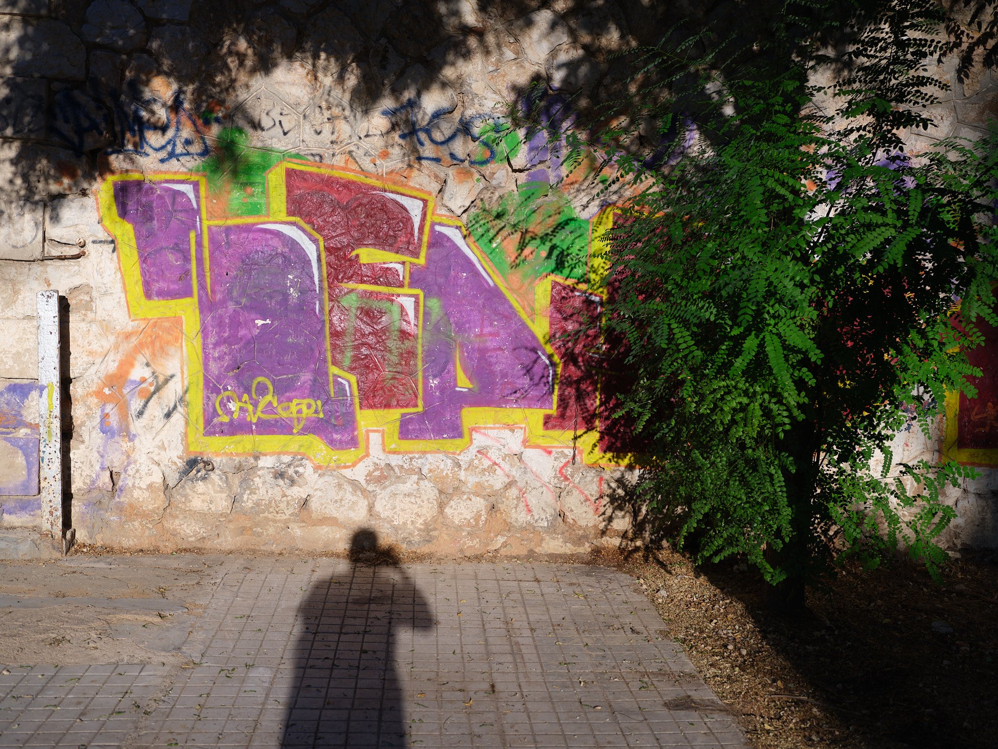 DSCF1665.jpg