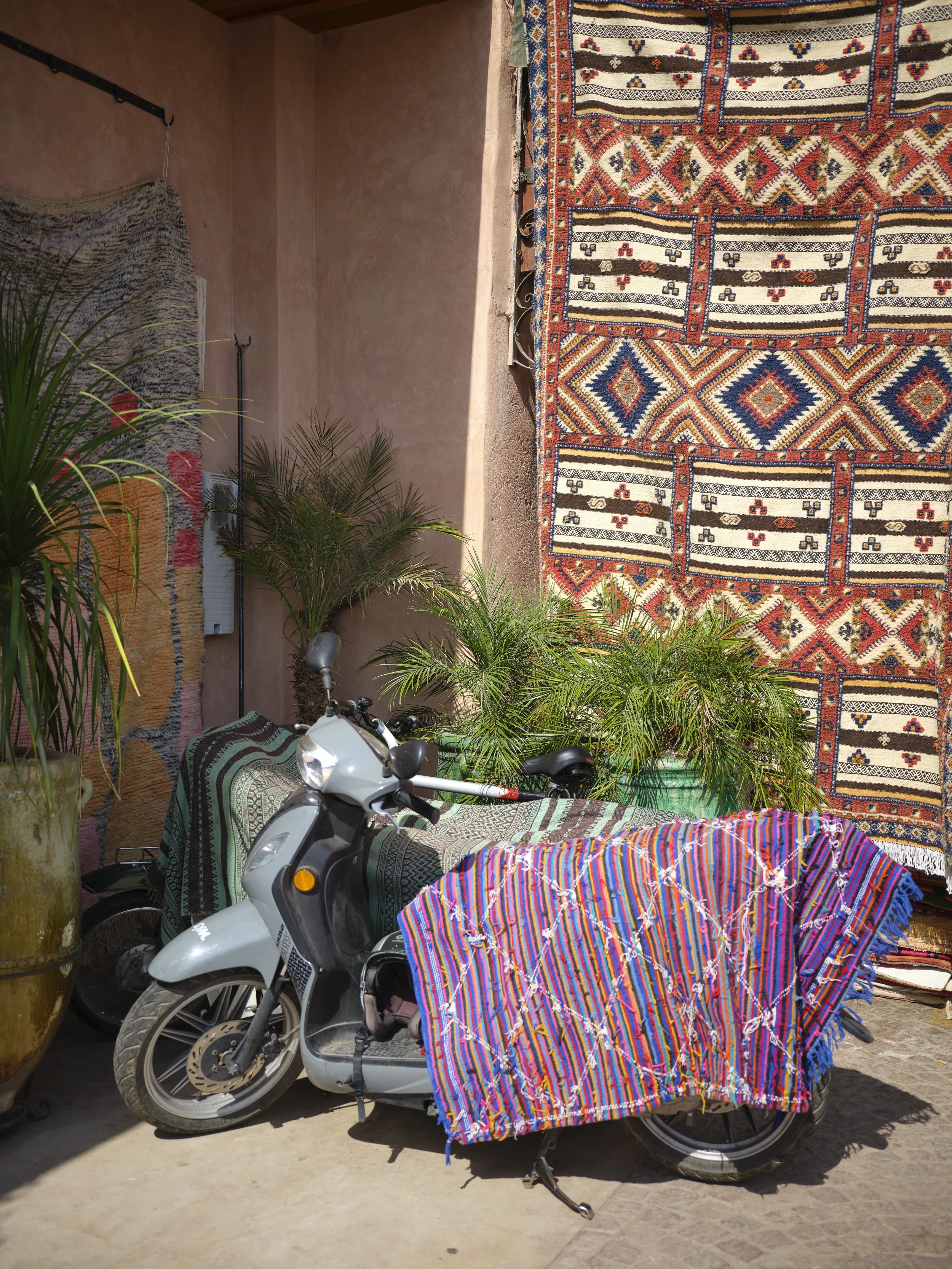DSCF2634.jpg