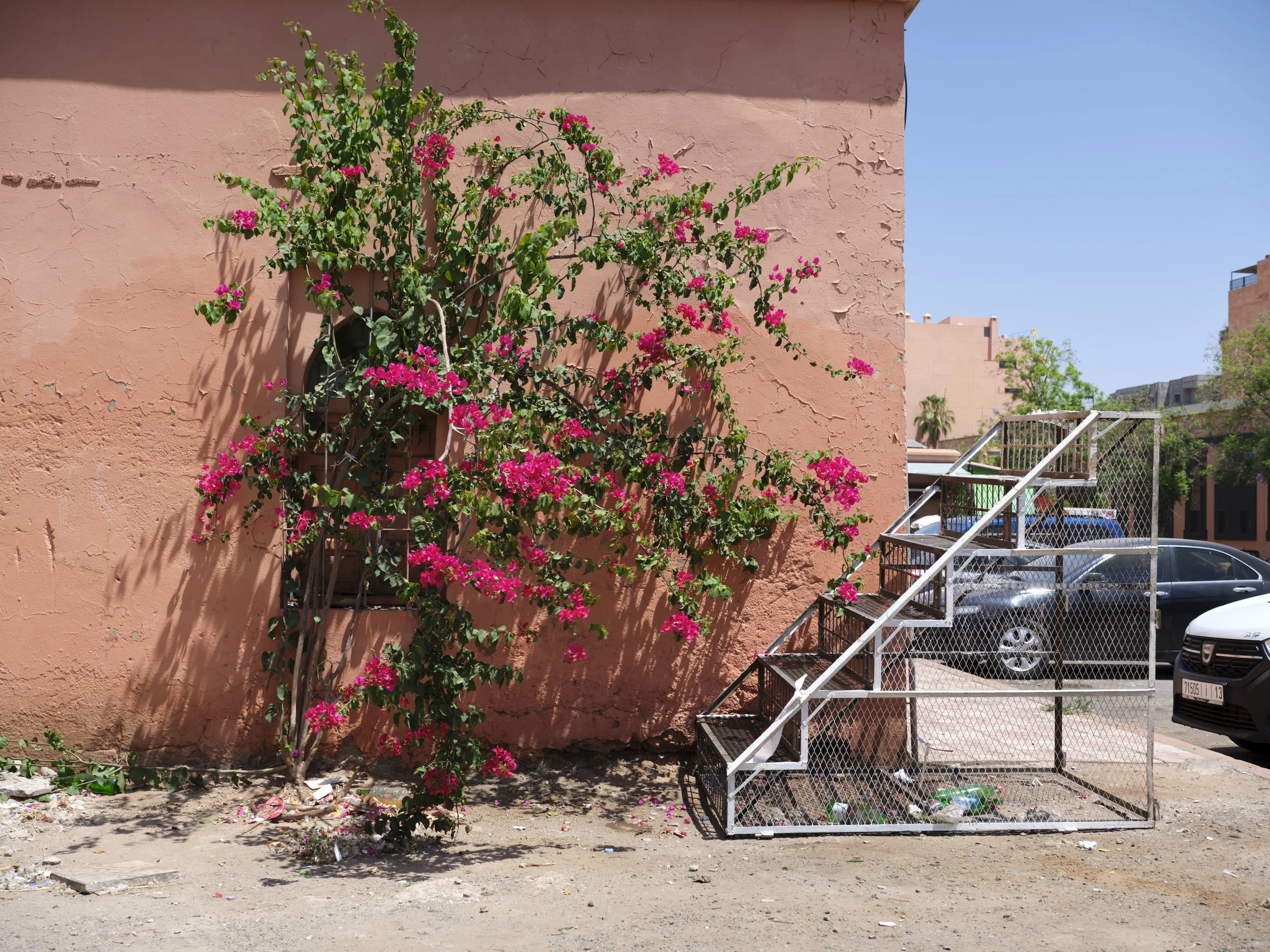 DSCF2778.jpg