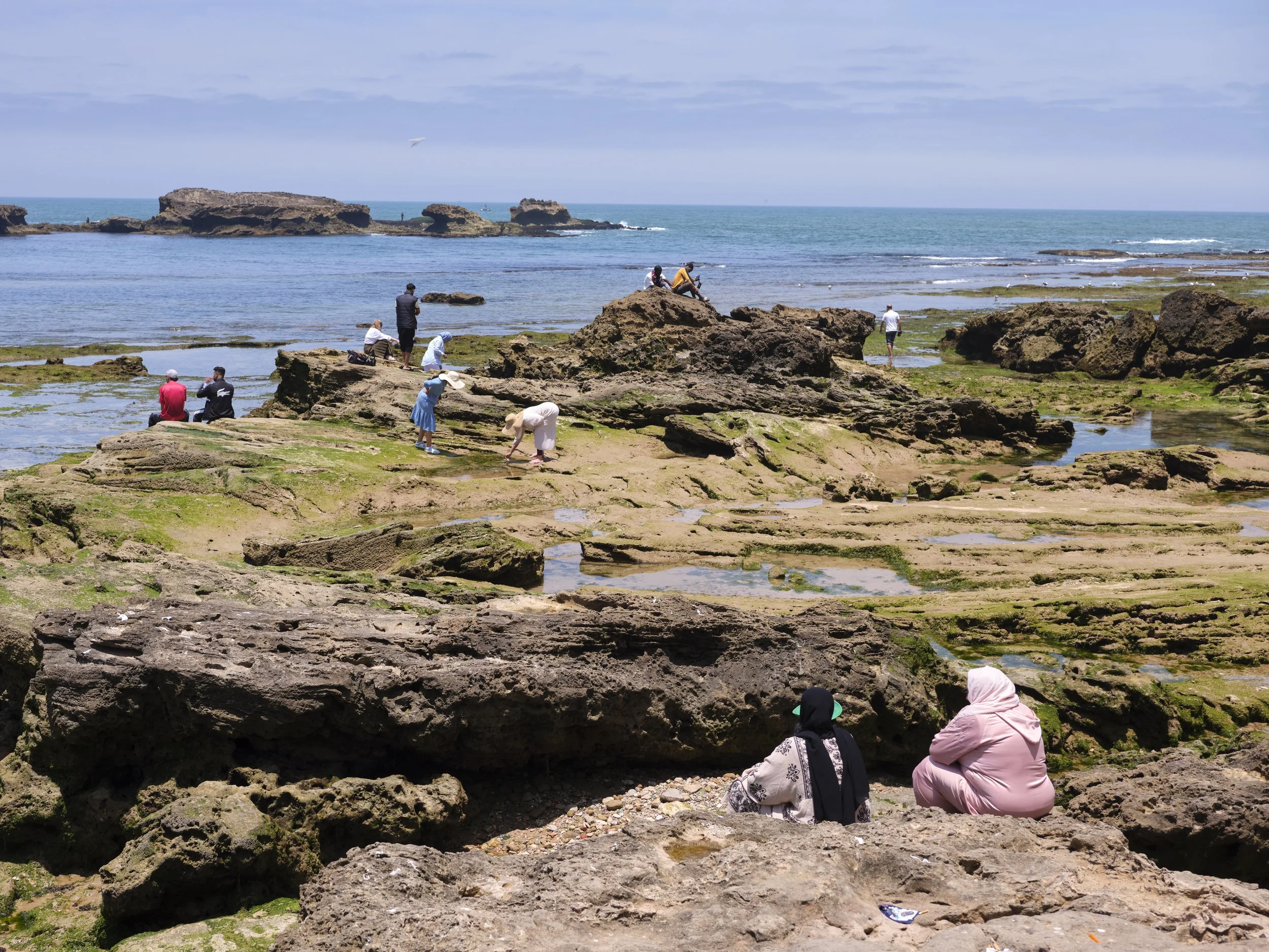 DSCF2854.jpg
