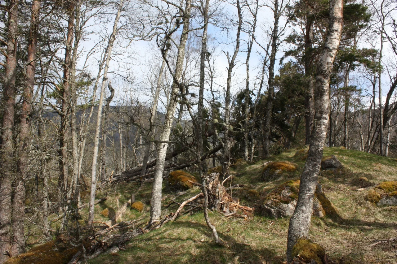IMG_8917.JPG