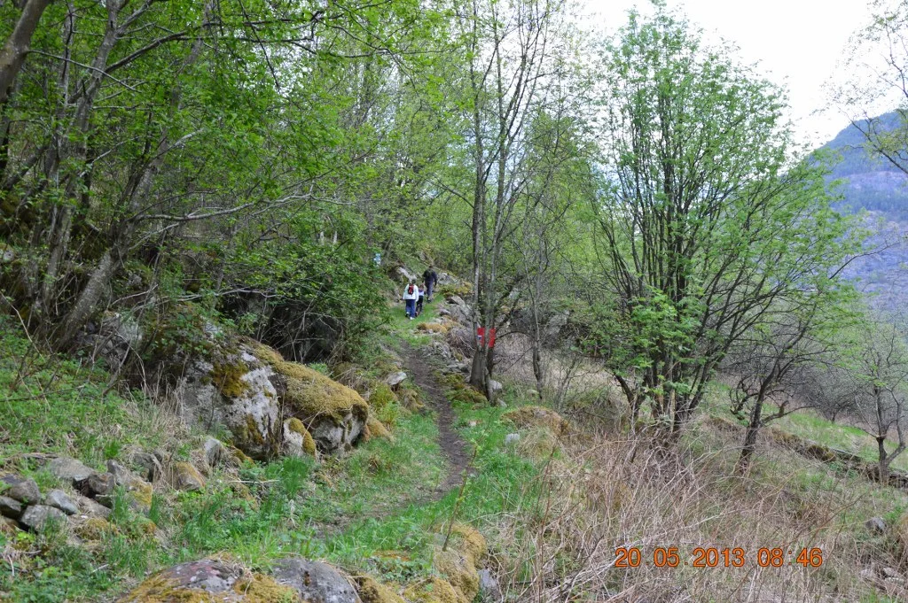 DSC_0002_1024x681.JPG