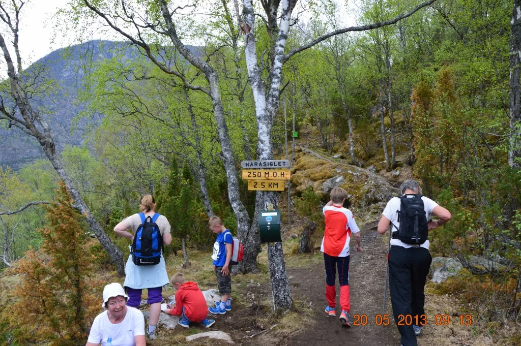 DSC_0007_1024x681.JPG
