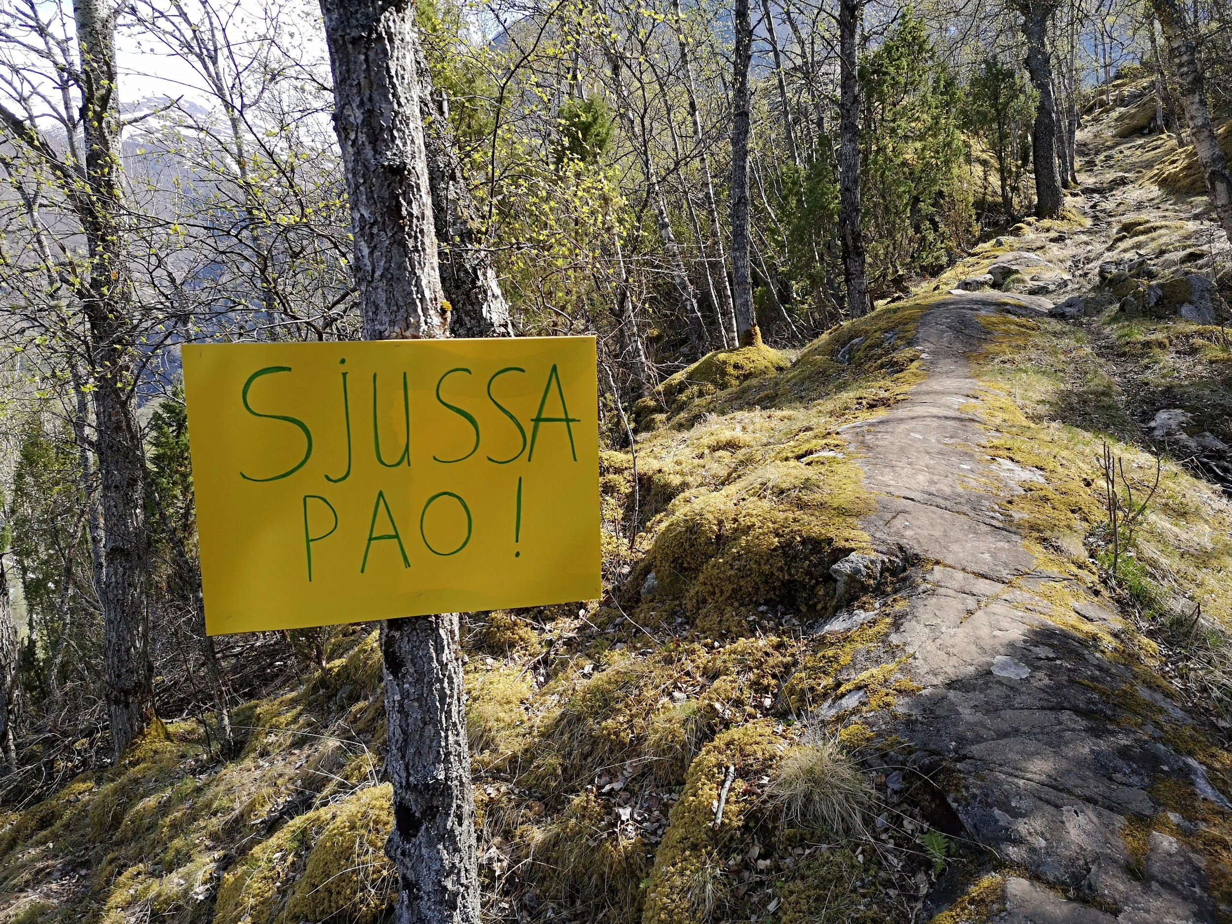 No må du «sjussa pao» med å melda deg pao til jubileumsløpet!