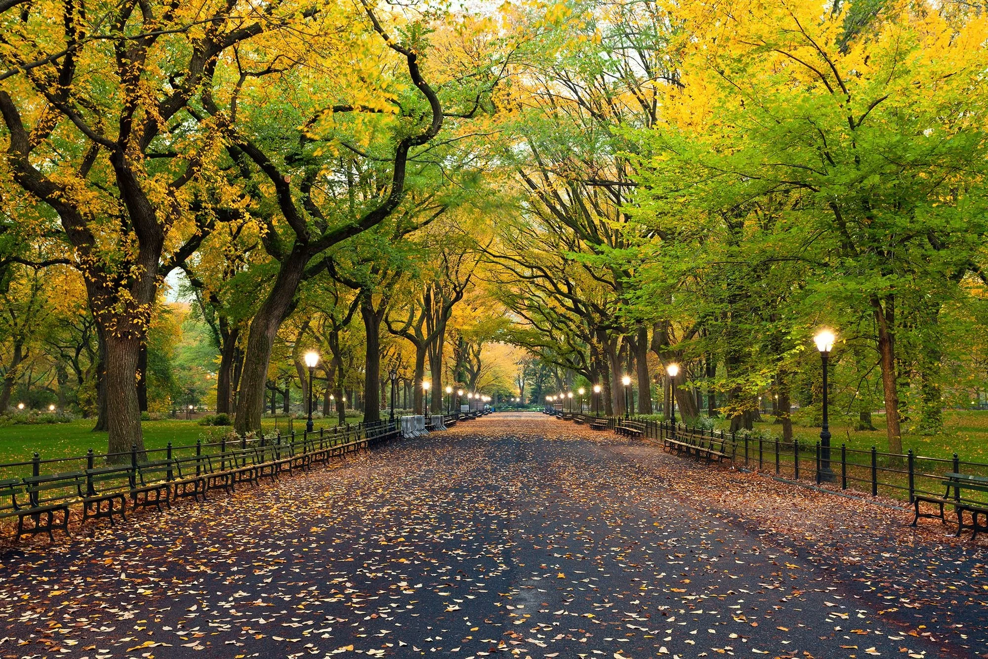 yorkshire-towers-central-park-mall.jpg