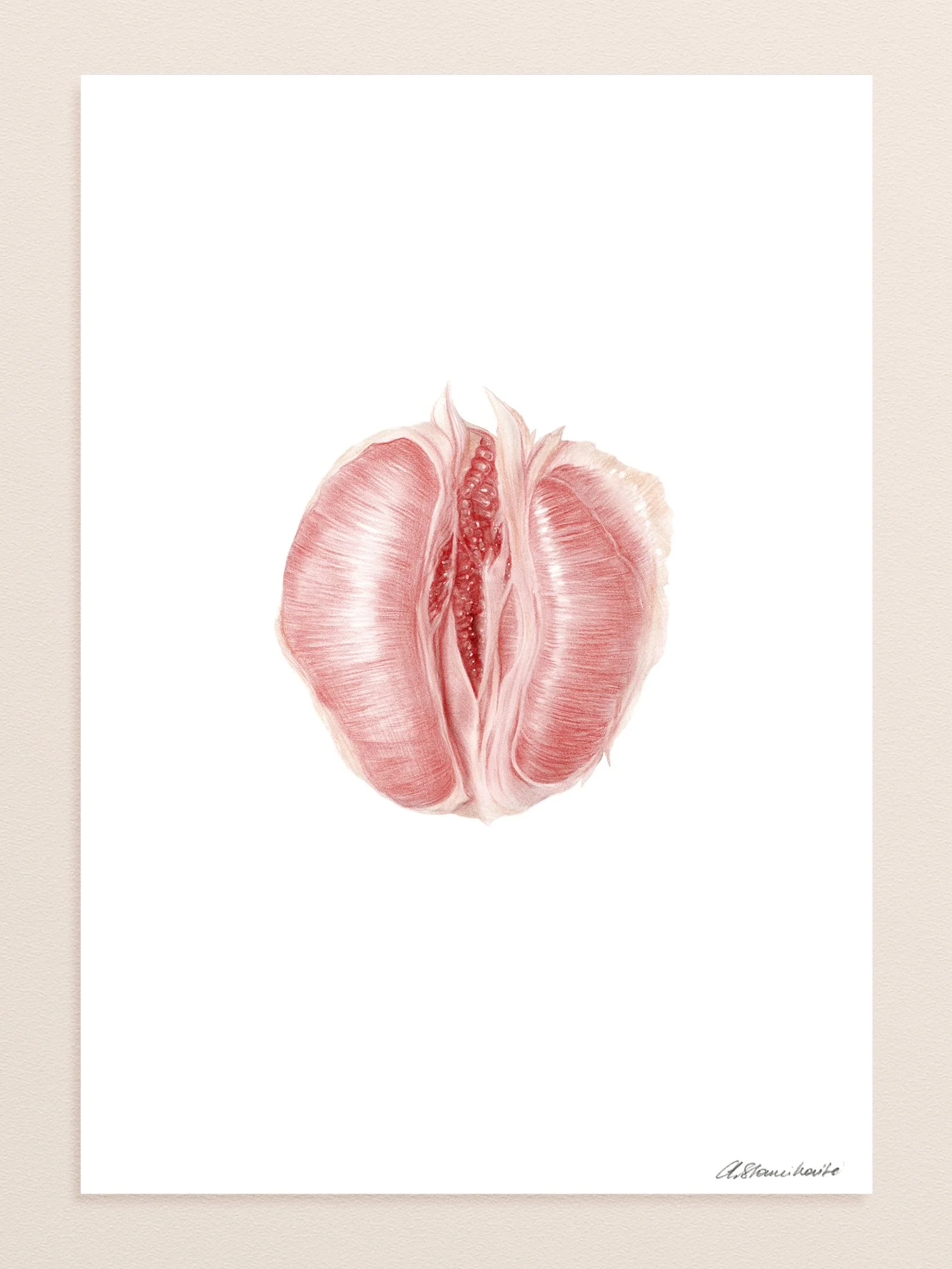 grapefruit.jpg