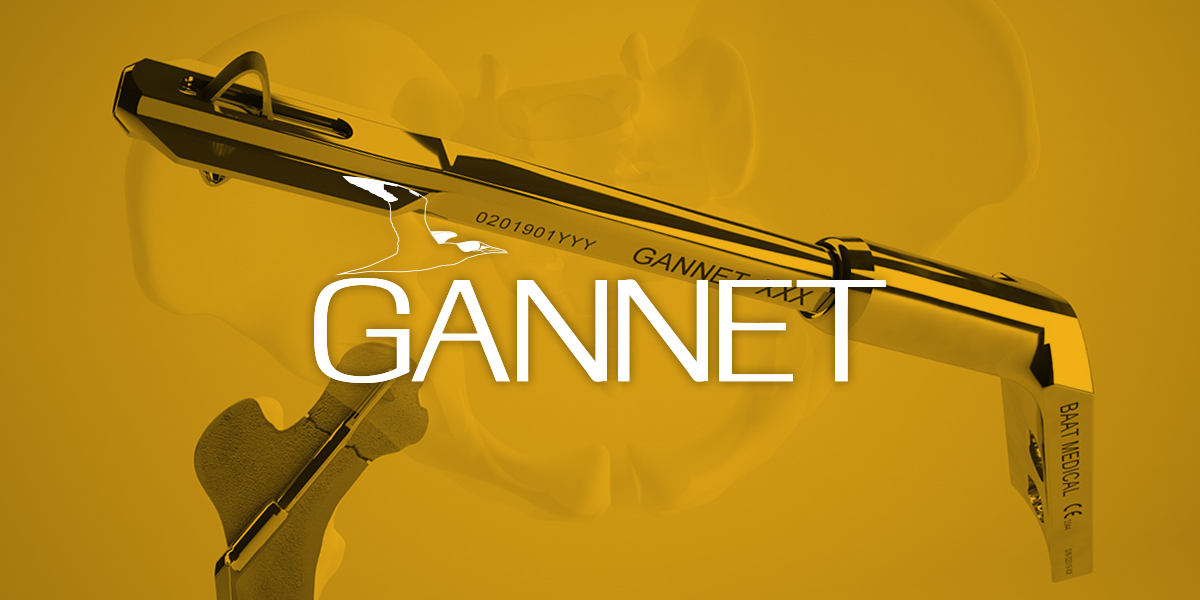 Gannet