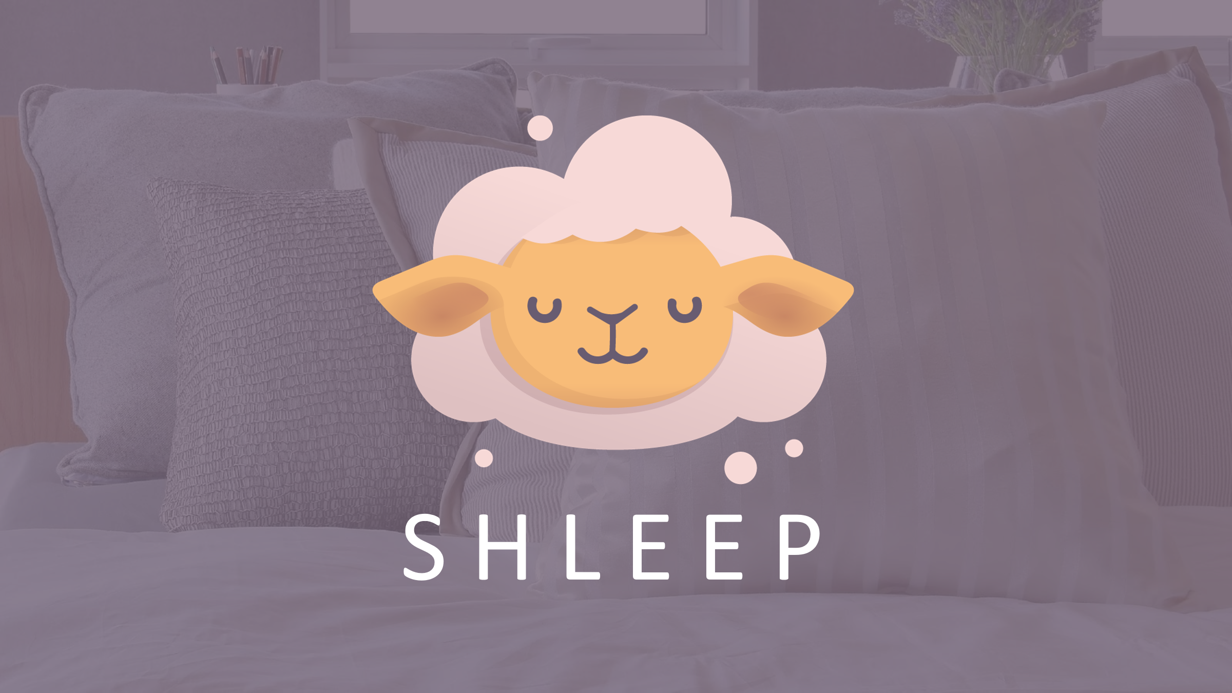 Investering in Shleep