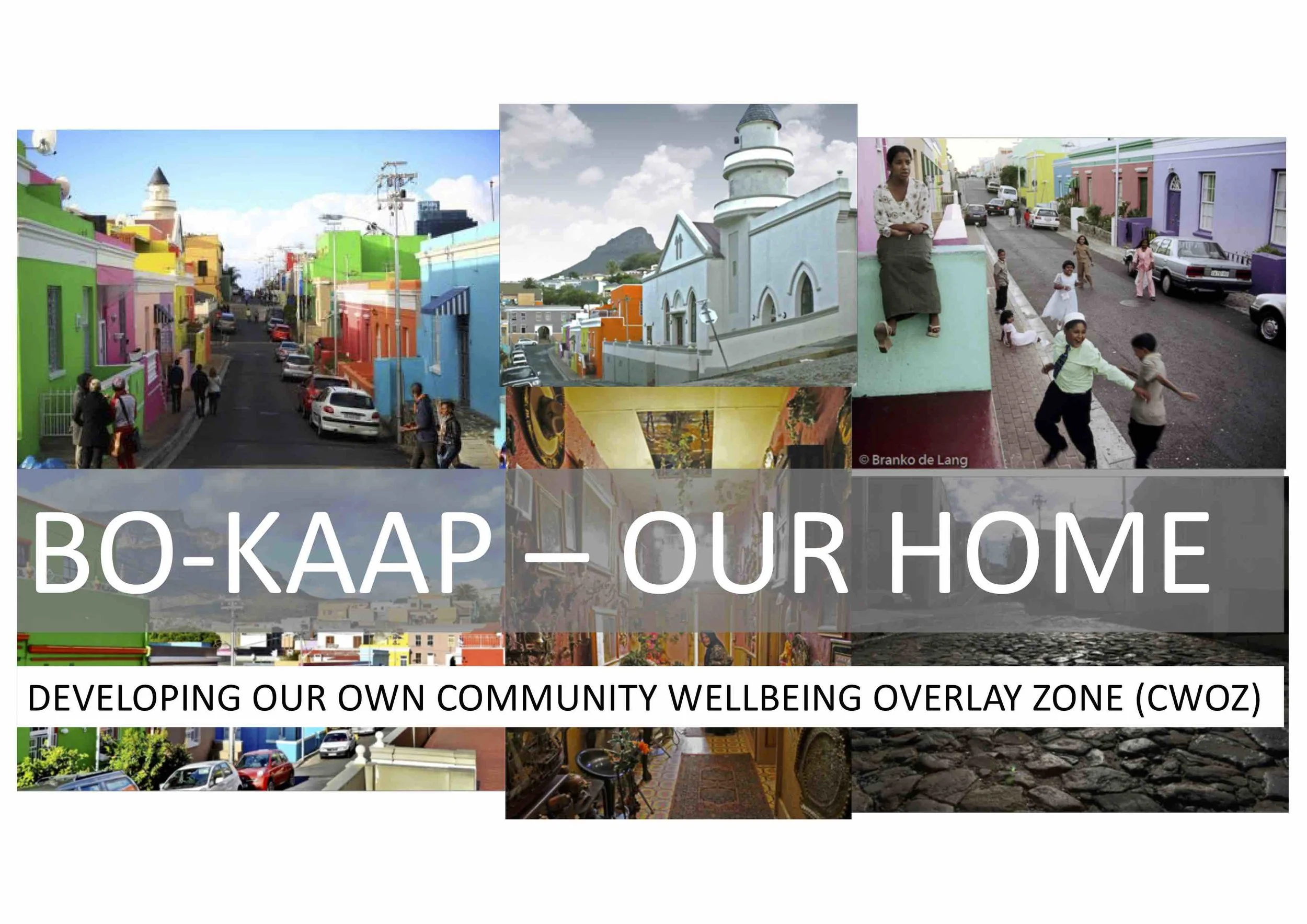 2019 02 09 Community Wellbeing Overlay Zone - 01.jpg