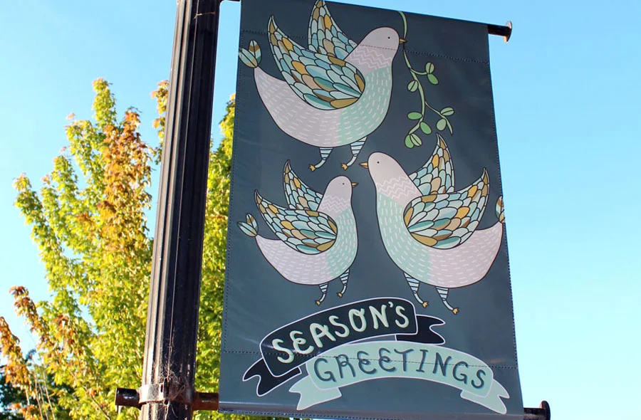doves_banner4_905.jpg