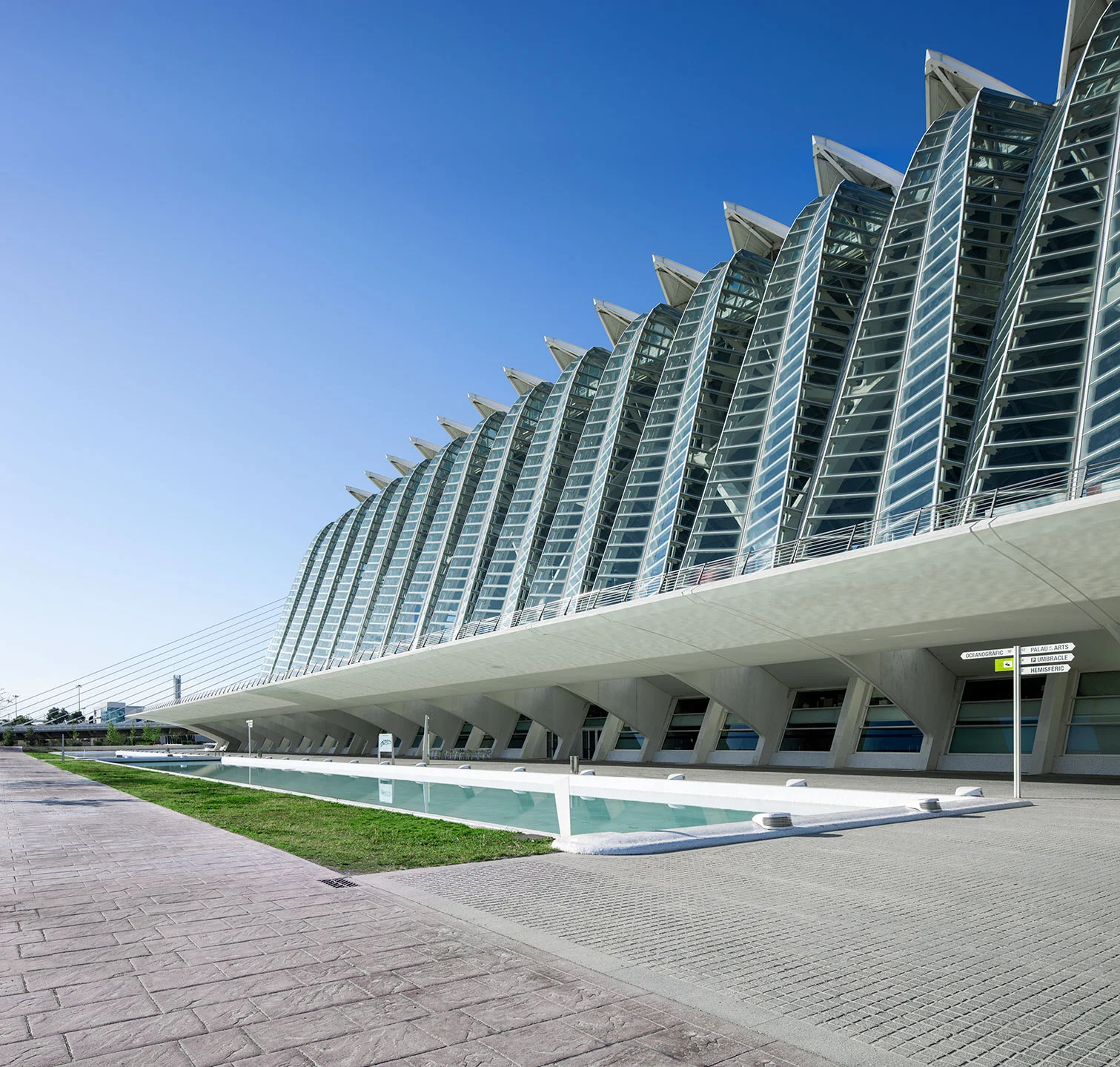 CIUDAD DE LAS ARTES Y LAS CIENCIAS VALENCIA