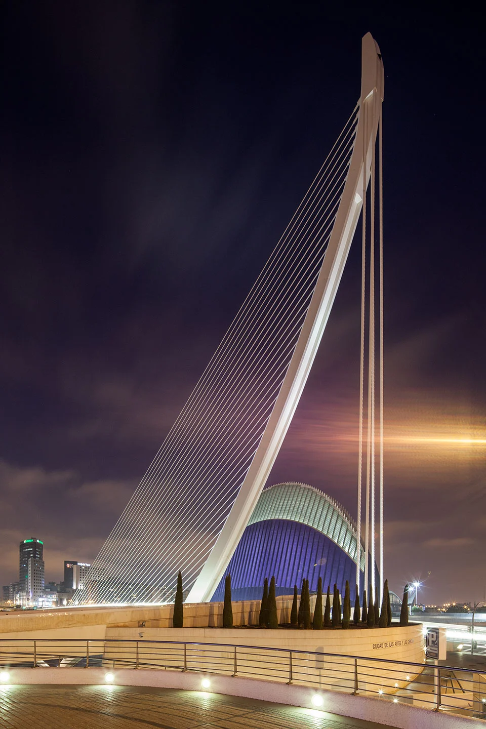 CIUDAD DE LAS ARTES Y LAS CIENCIAS VALENCIA