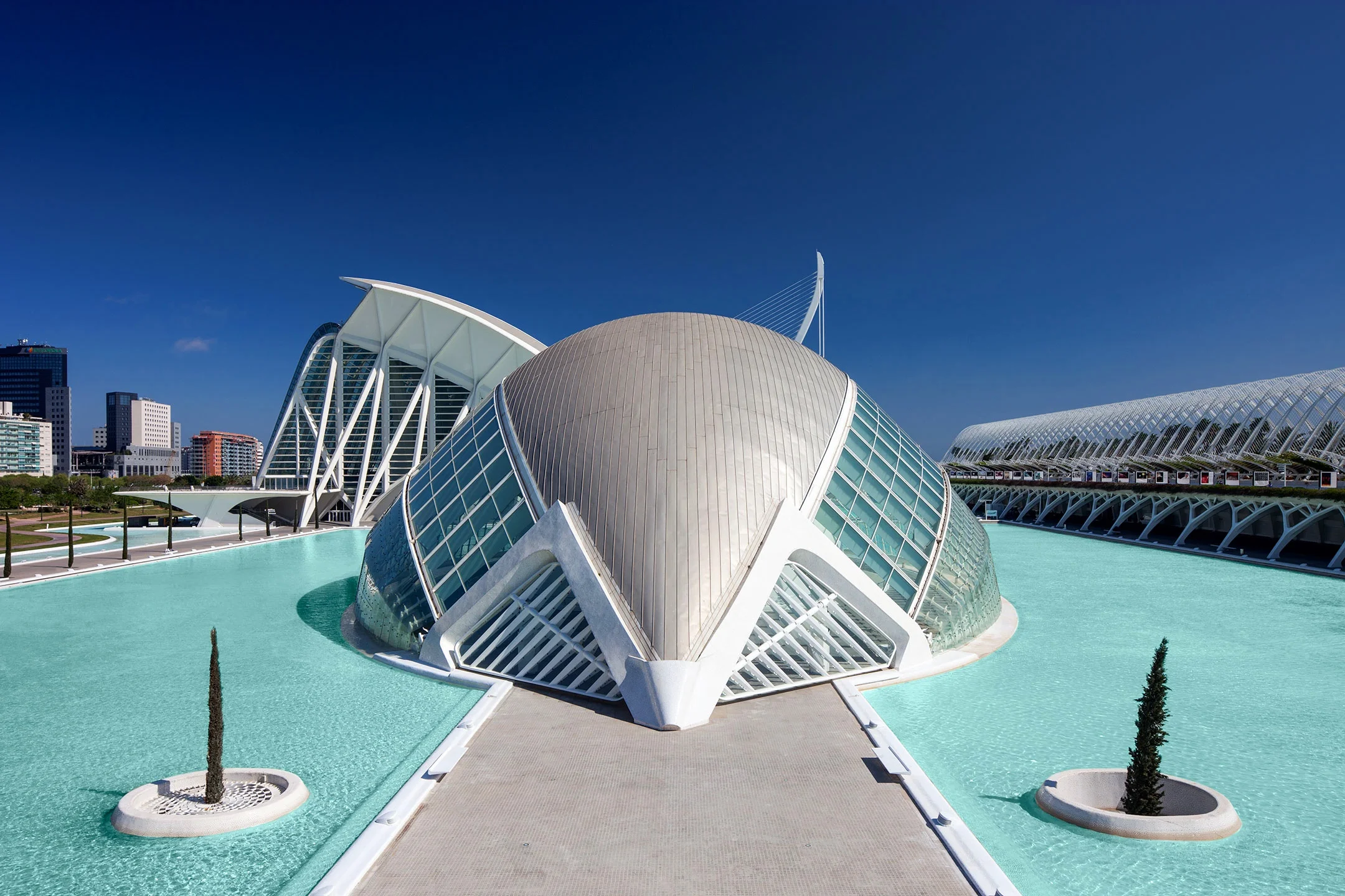 CIUDAD DE LAS ARTES Y LAS CIENCIAS VALENCIA