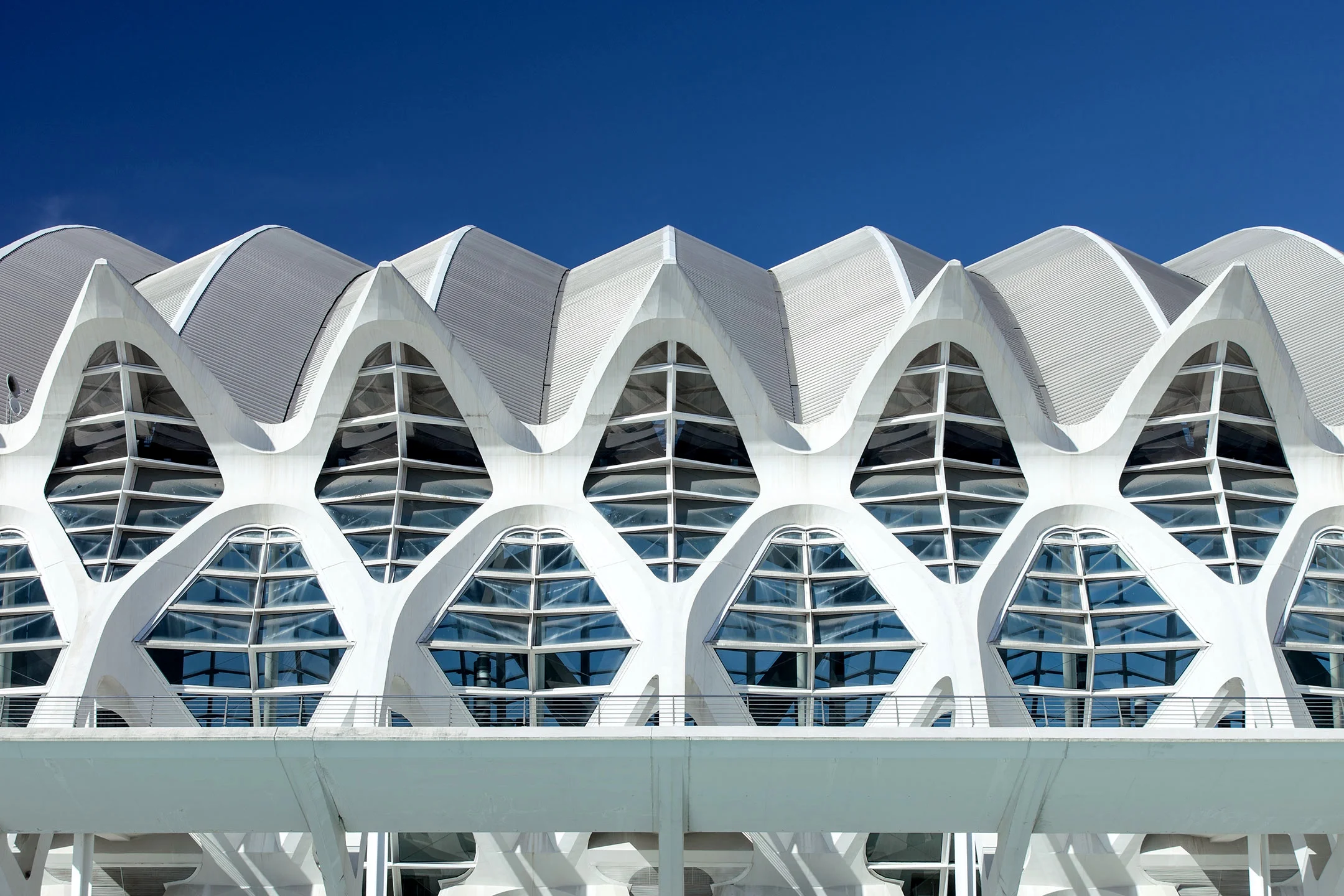 CIUDAD DE LAS ARTES Y LAS CIENCIAS VALENCIA