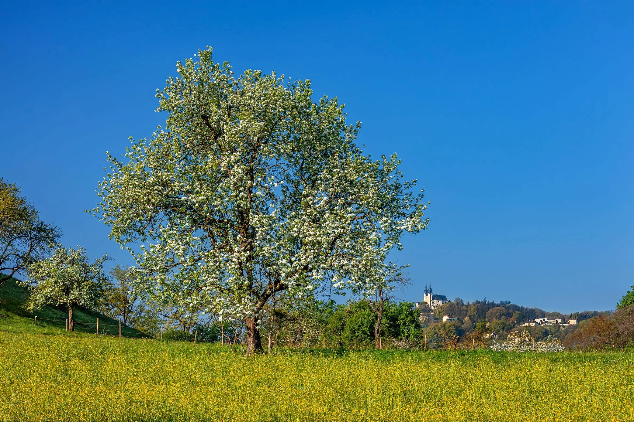 PÖSTLINGBERG, BLICK VOM GRÜNDBERG