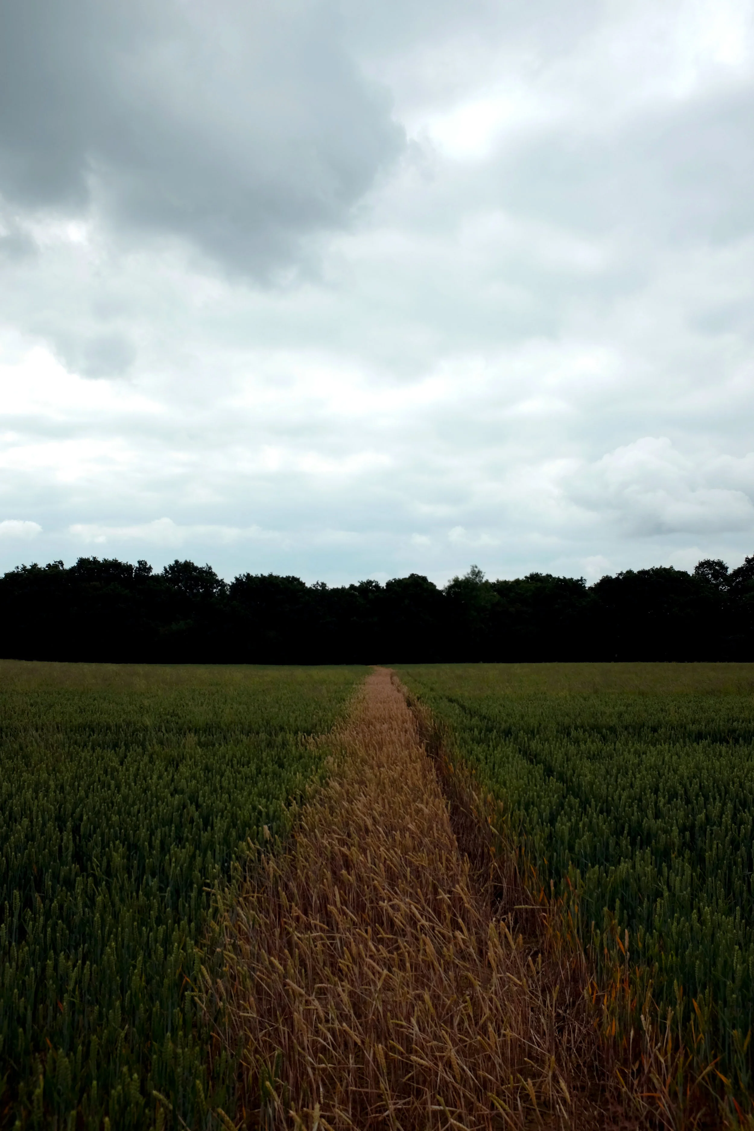 DSCF0156.jpg