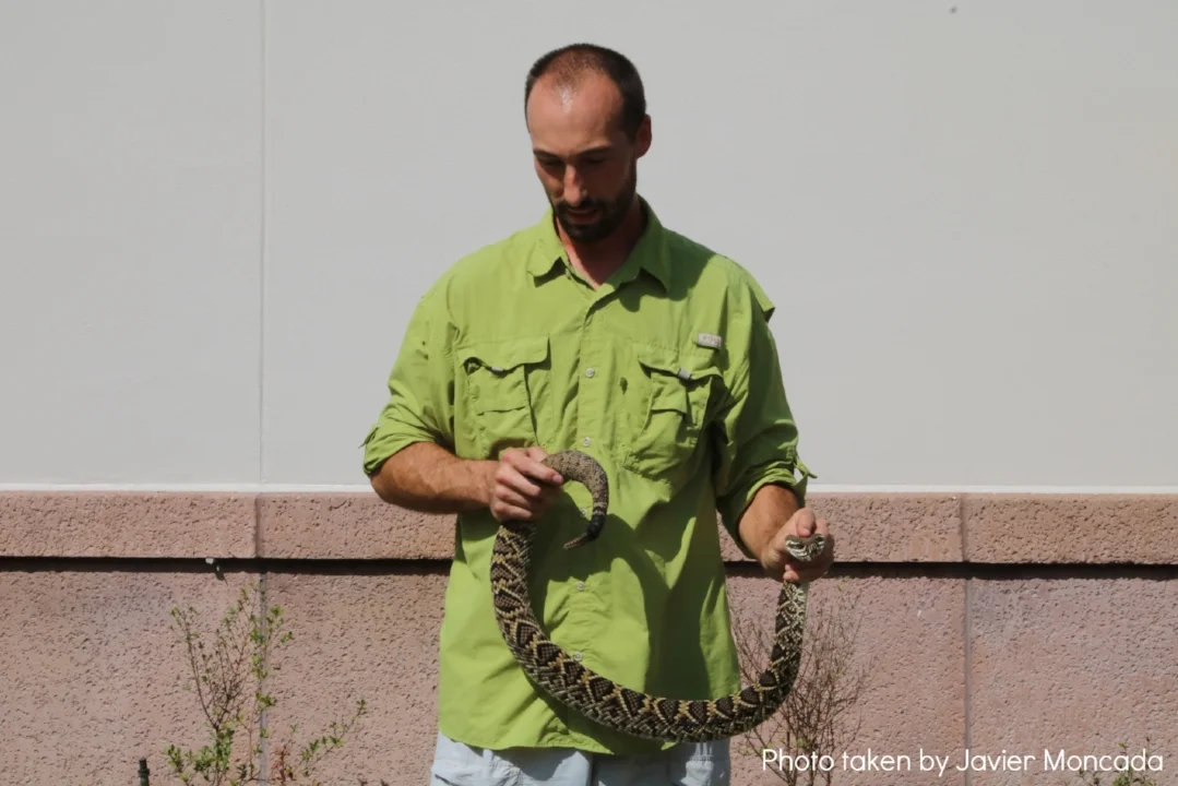 Snake Feature #5