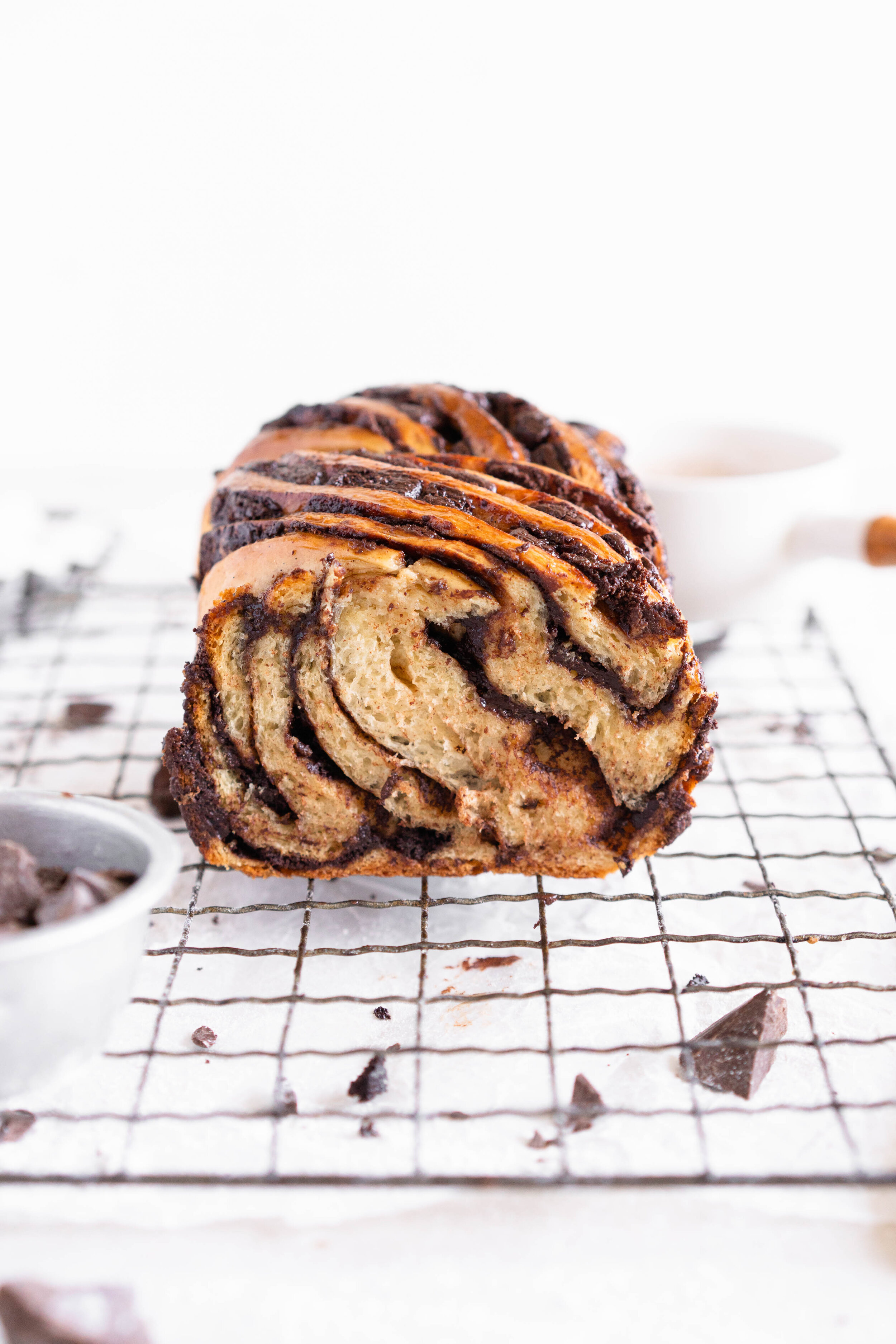 Chocolate, Espresso, and Rye Babka — Cloudy Kitchen