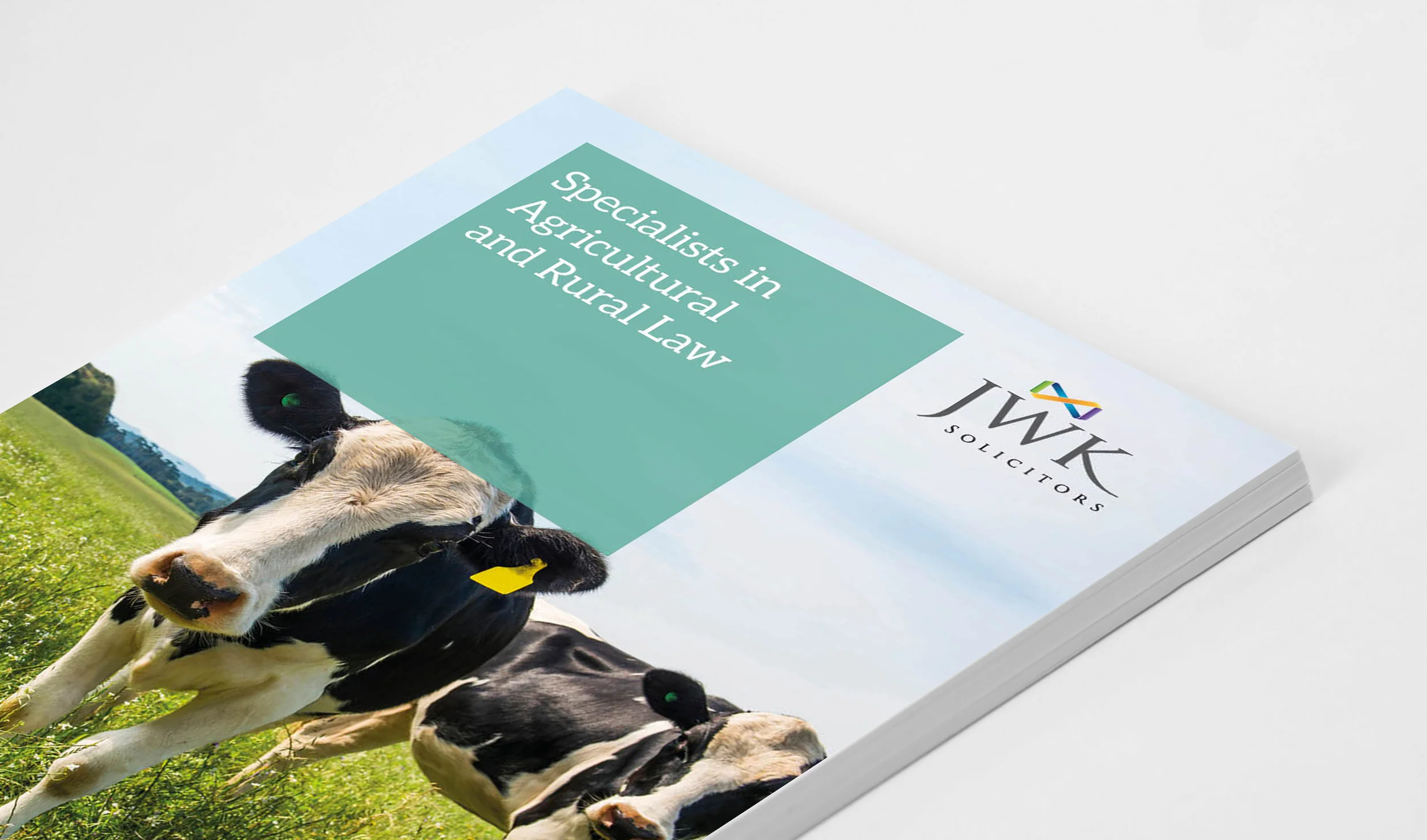 AdobeStock_64368455 cow cover.jpg