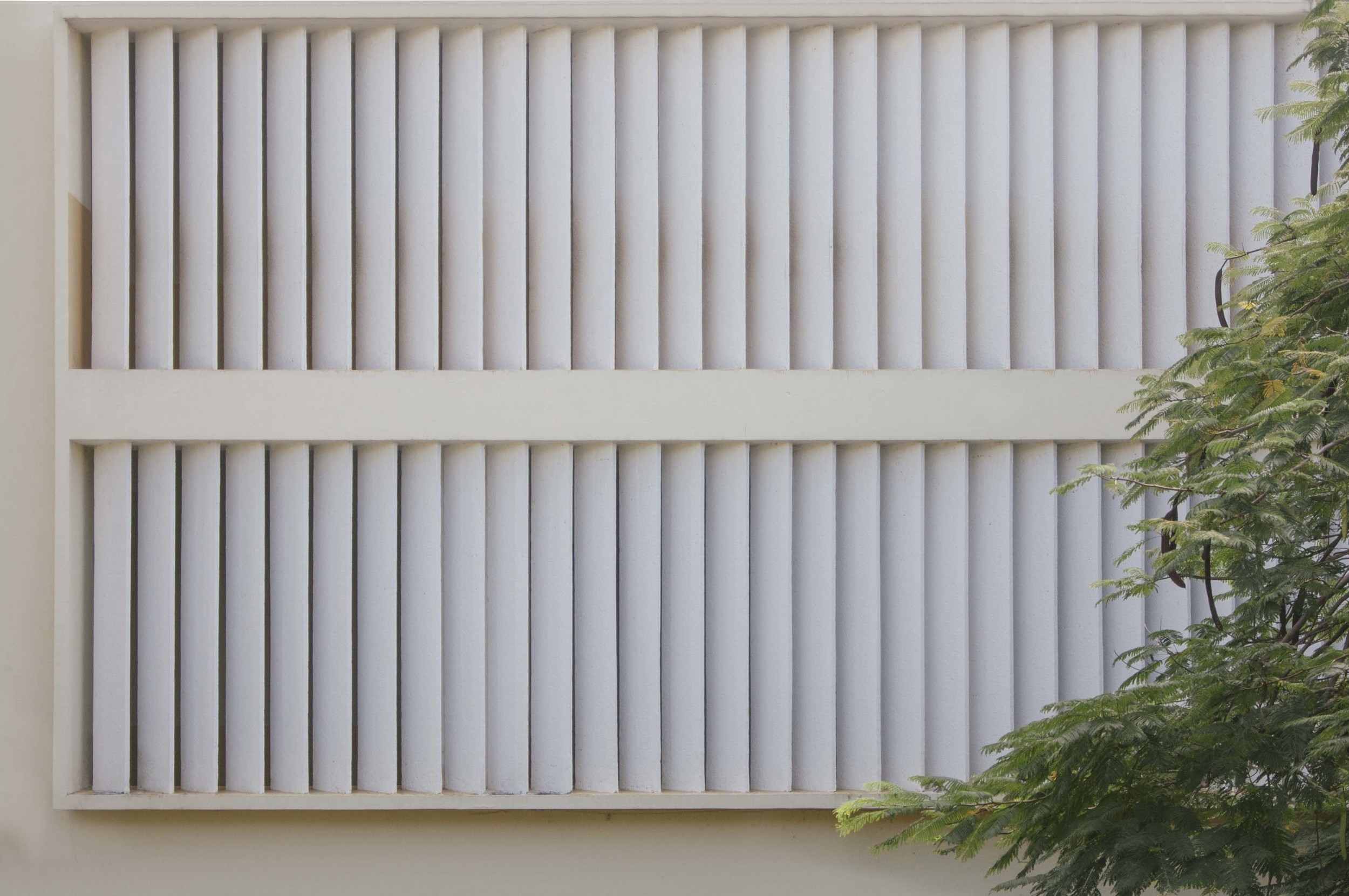  Facultad de Ciencias Médicas UASD 