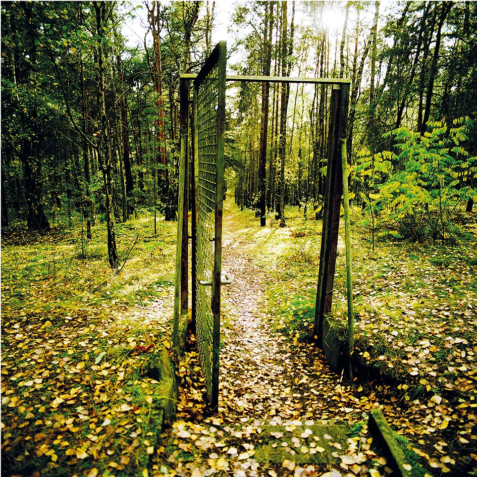 Plan B - Kommunen