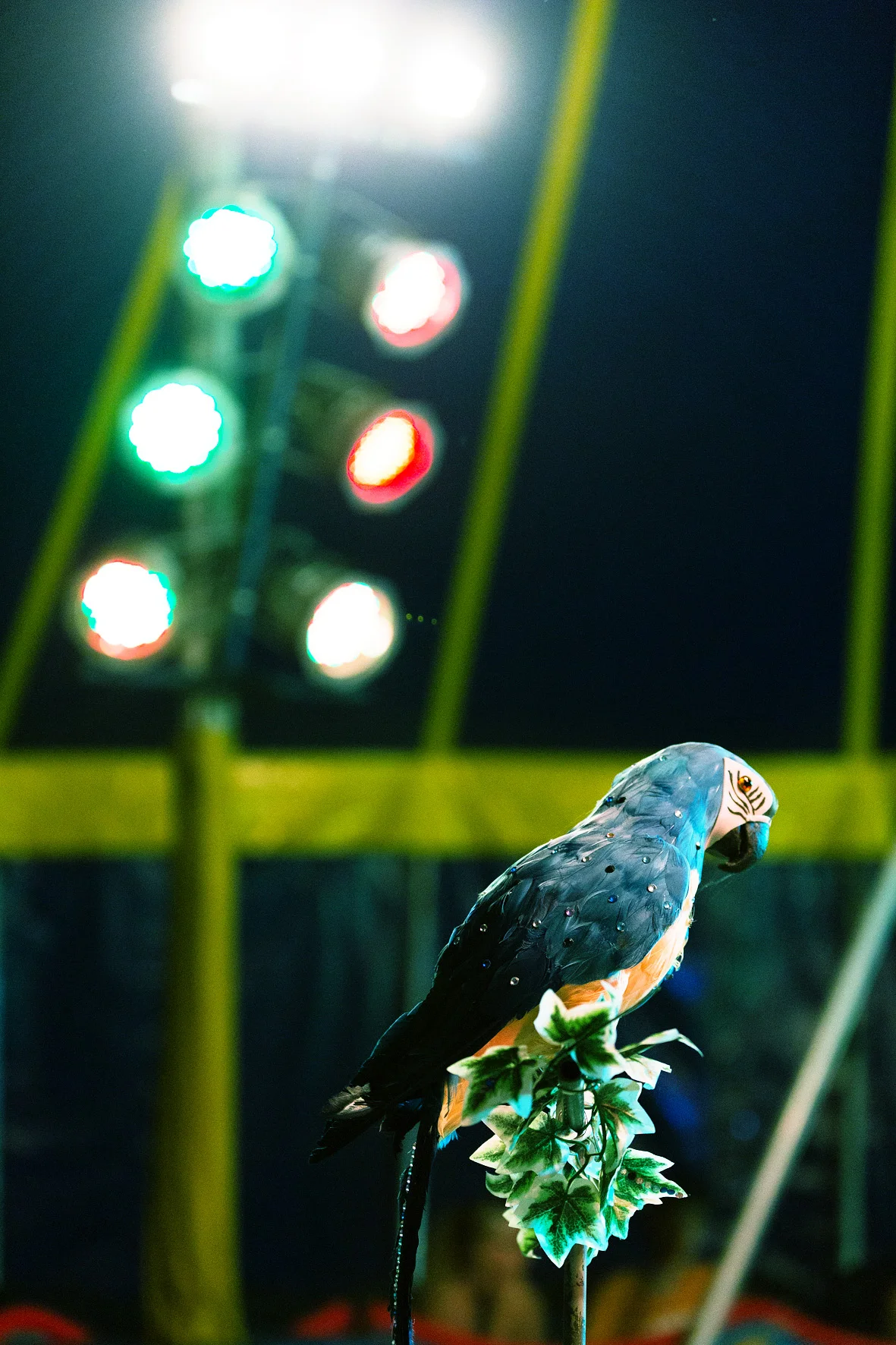 Zirkus Alfoni