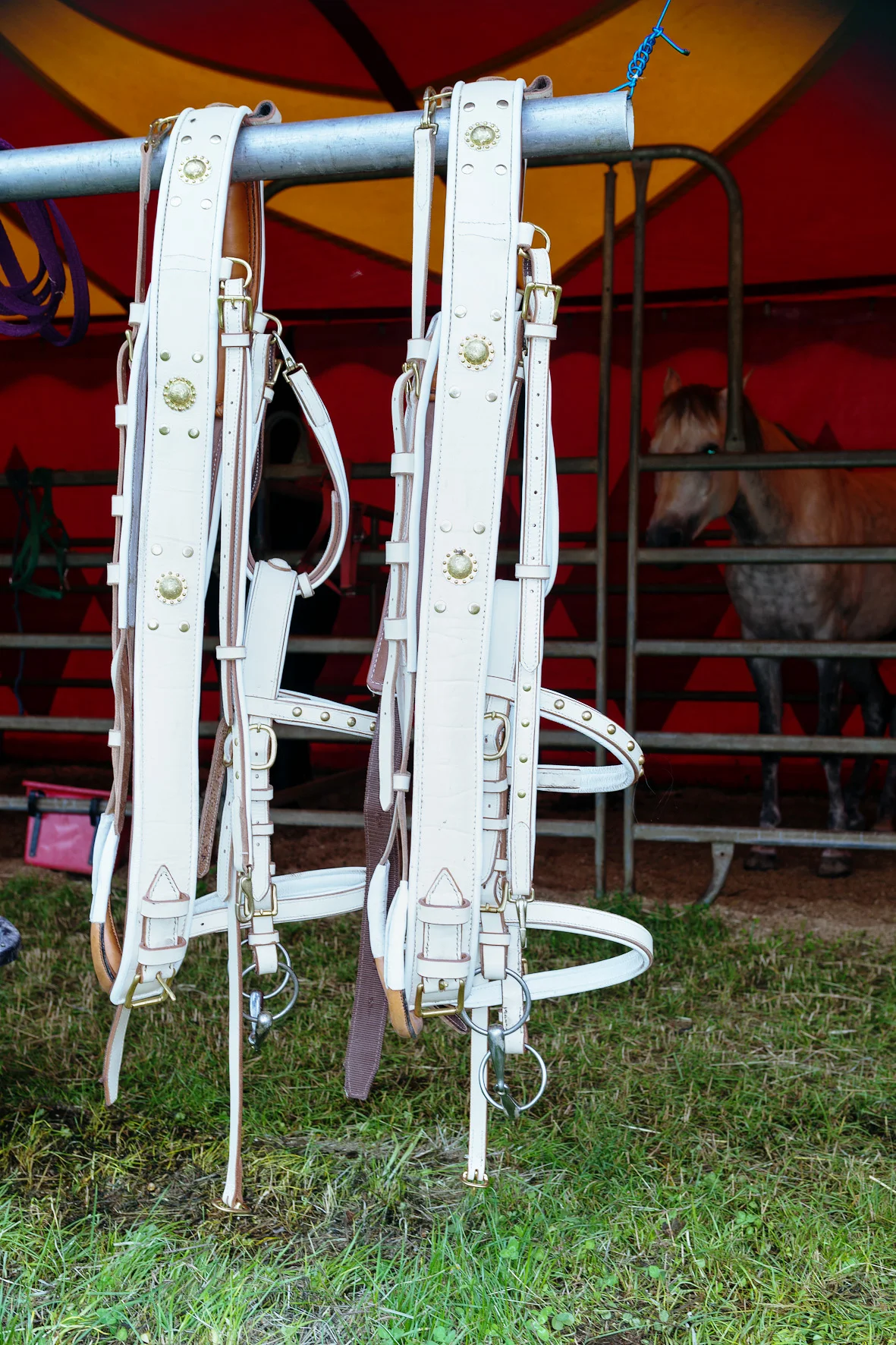 Circus Aros, Austria