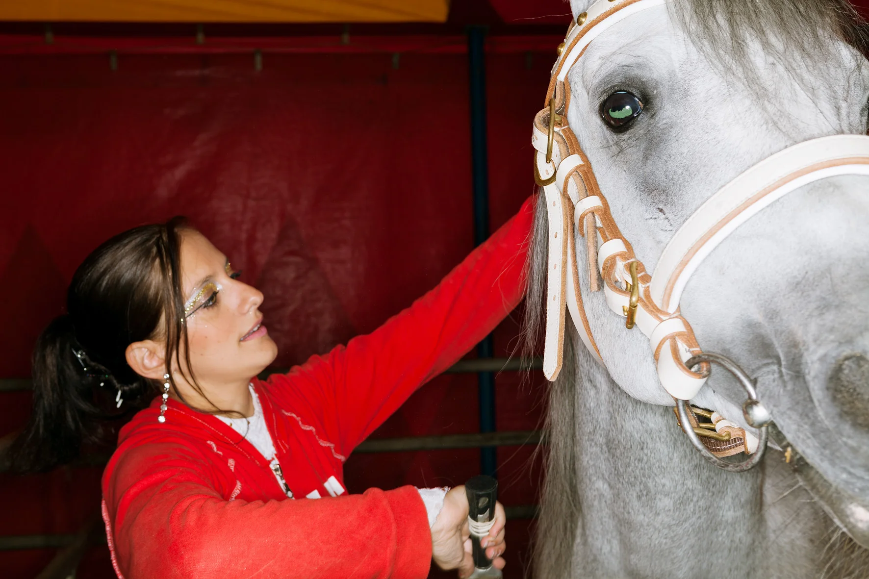 Circus Aros, Austria