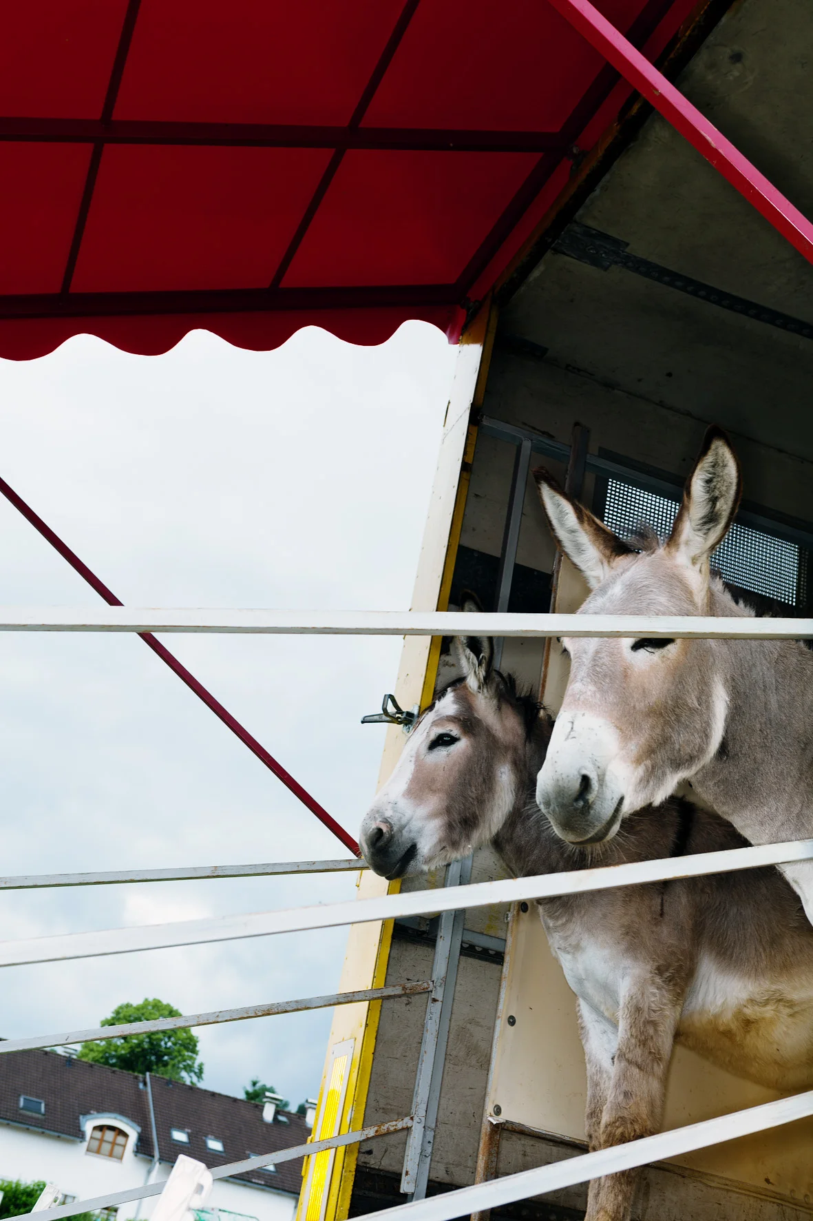 Circus Aros, Austria