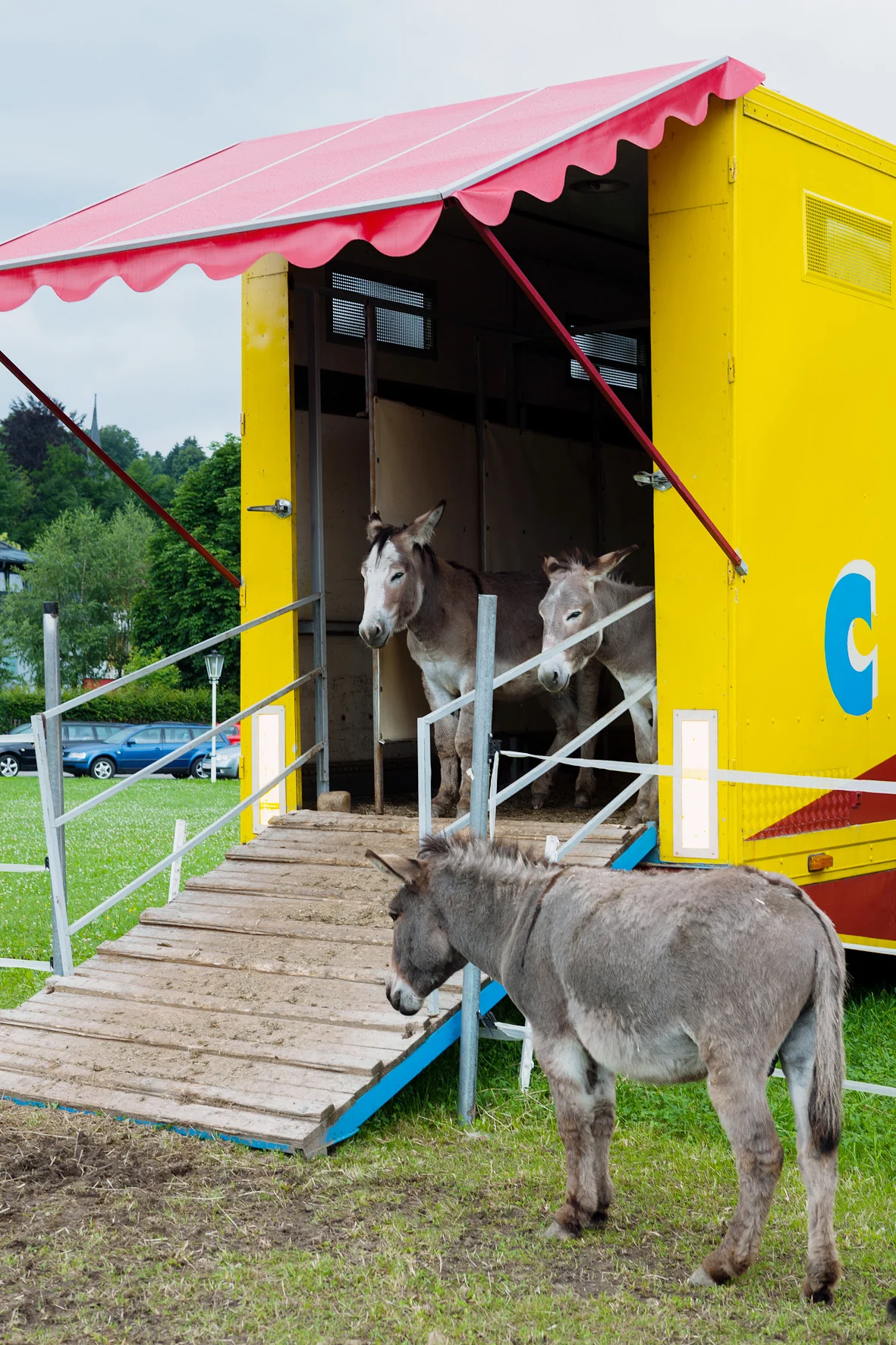 Circus Aros, Austria