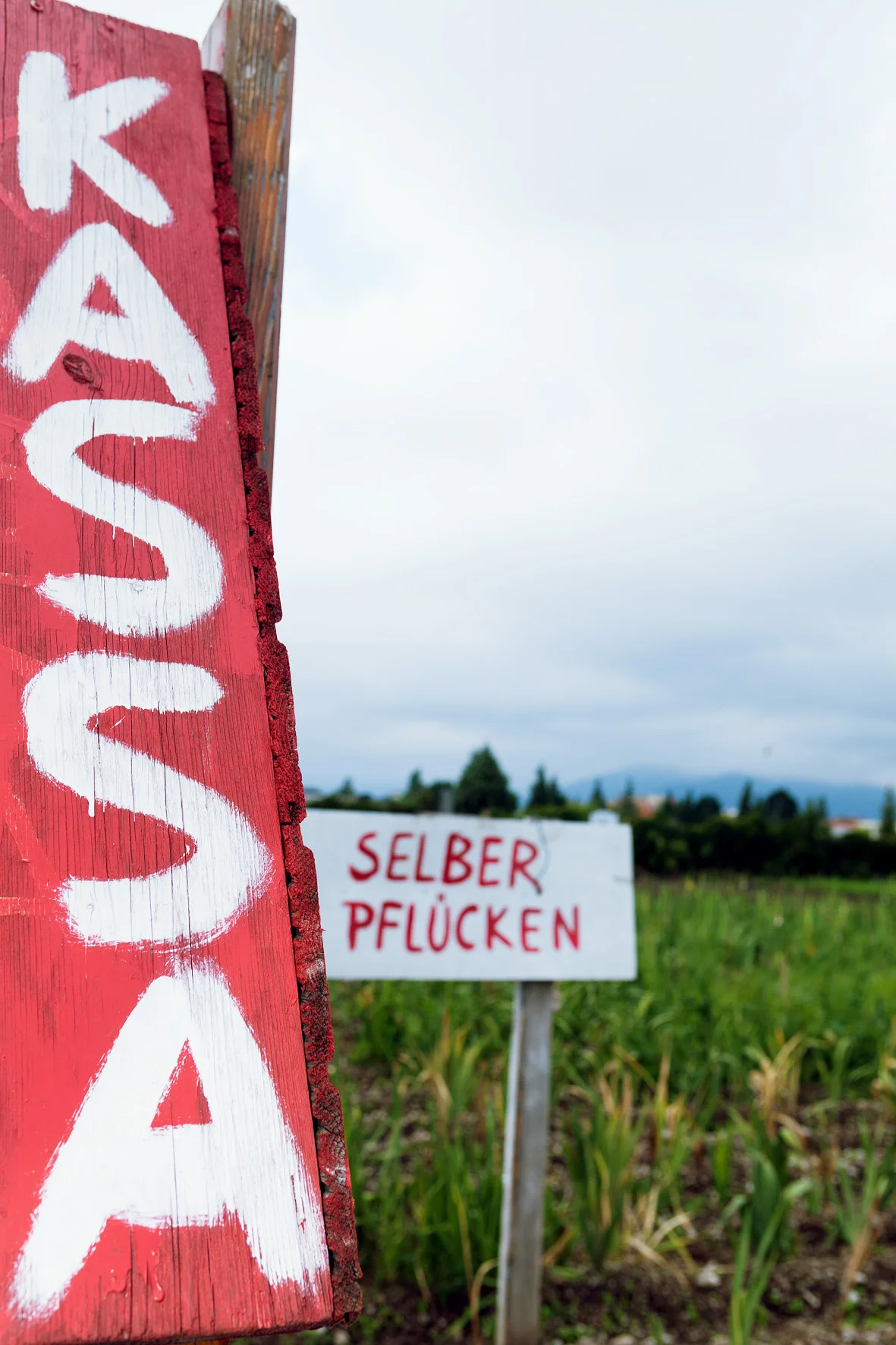 Pleitegemeinden Burgenland Österreich