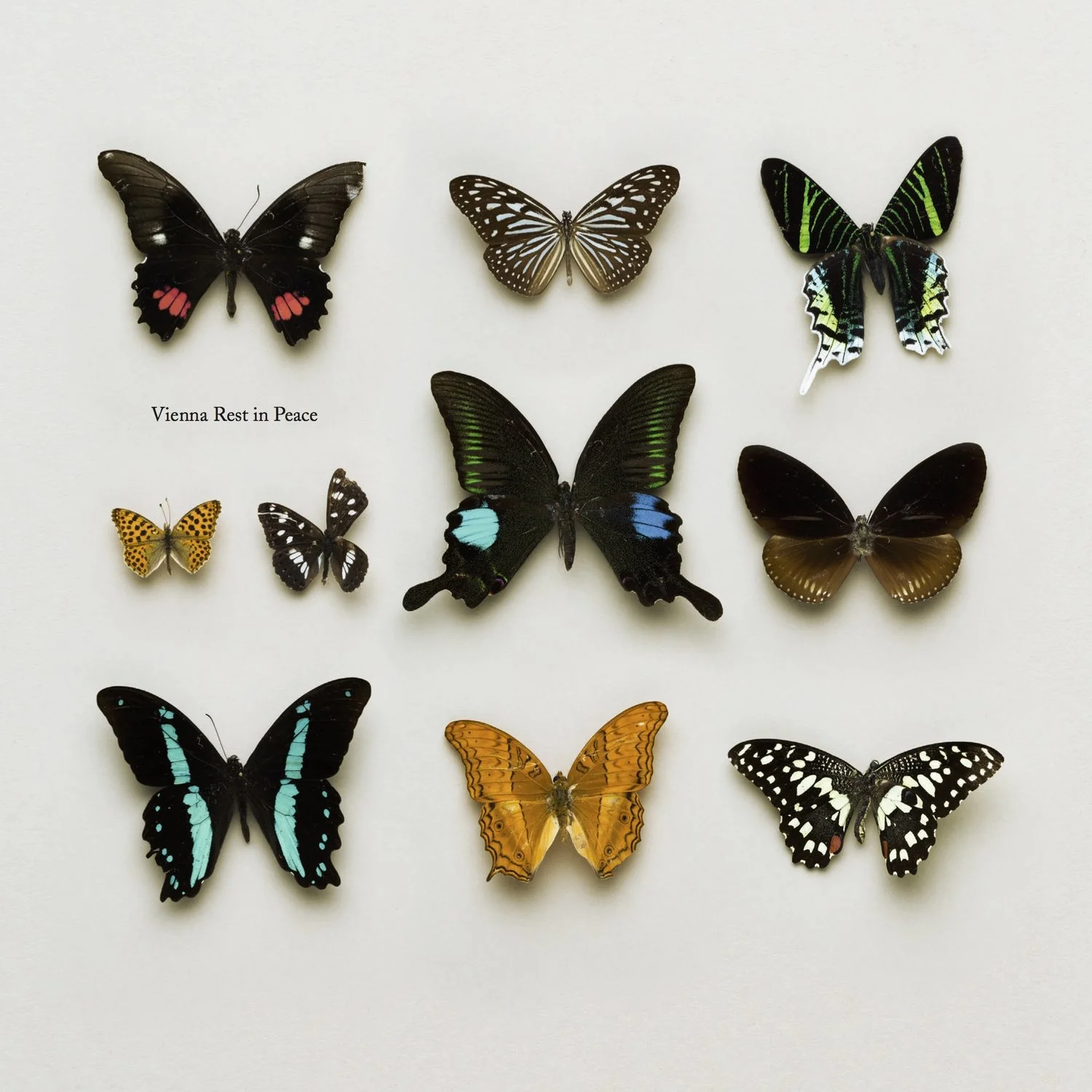 VRIP-Cover-Vinyl-iA0714a.jpg