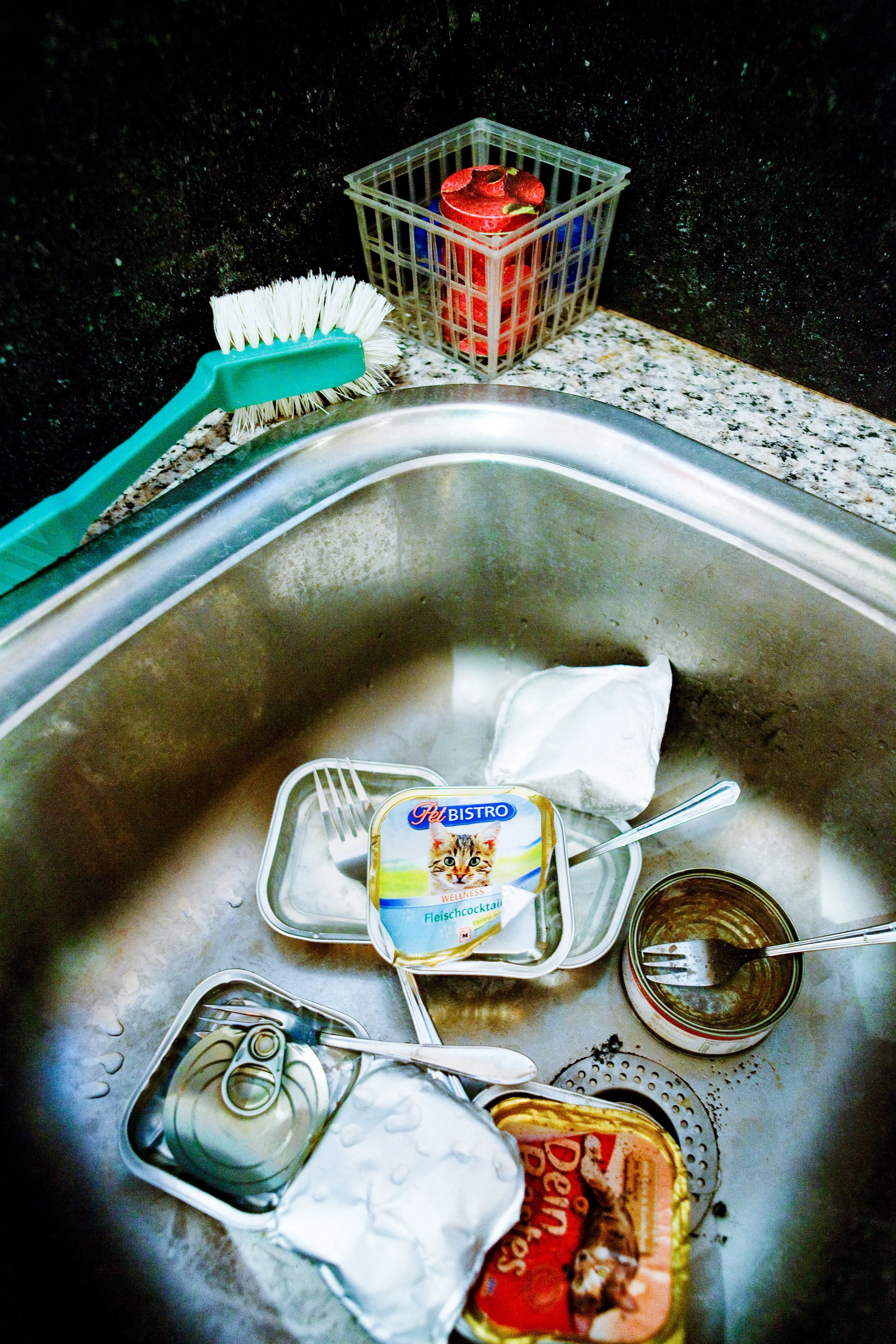 AUSTRIA / Vienna / March 03, 2009 / Home nursing. Clients portra
