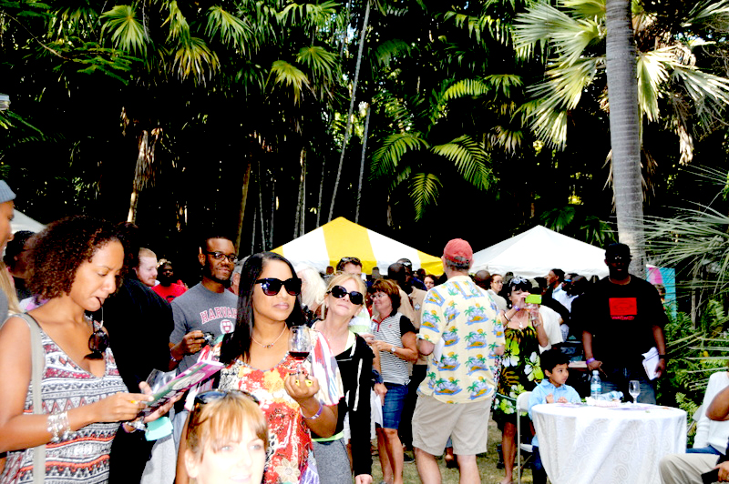 Visitors at the BNT Wine and Art Festival 2015