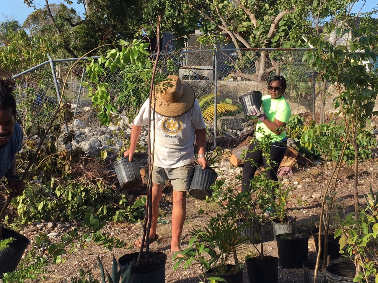 2. Rotarians hard at work in the garden