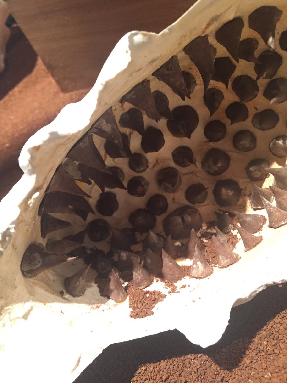 John Beadle. Detail shot of the inside of casted head with silk cotton spikes. “Row Yah Boat”. Installation at the NAGB National Exhibition 8. Mixed Media. Variable Dimensions.