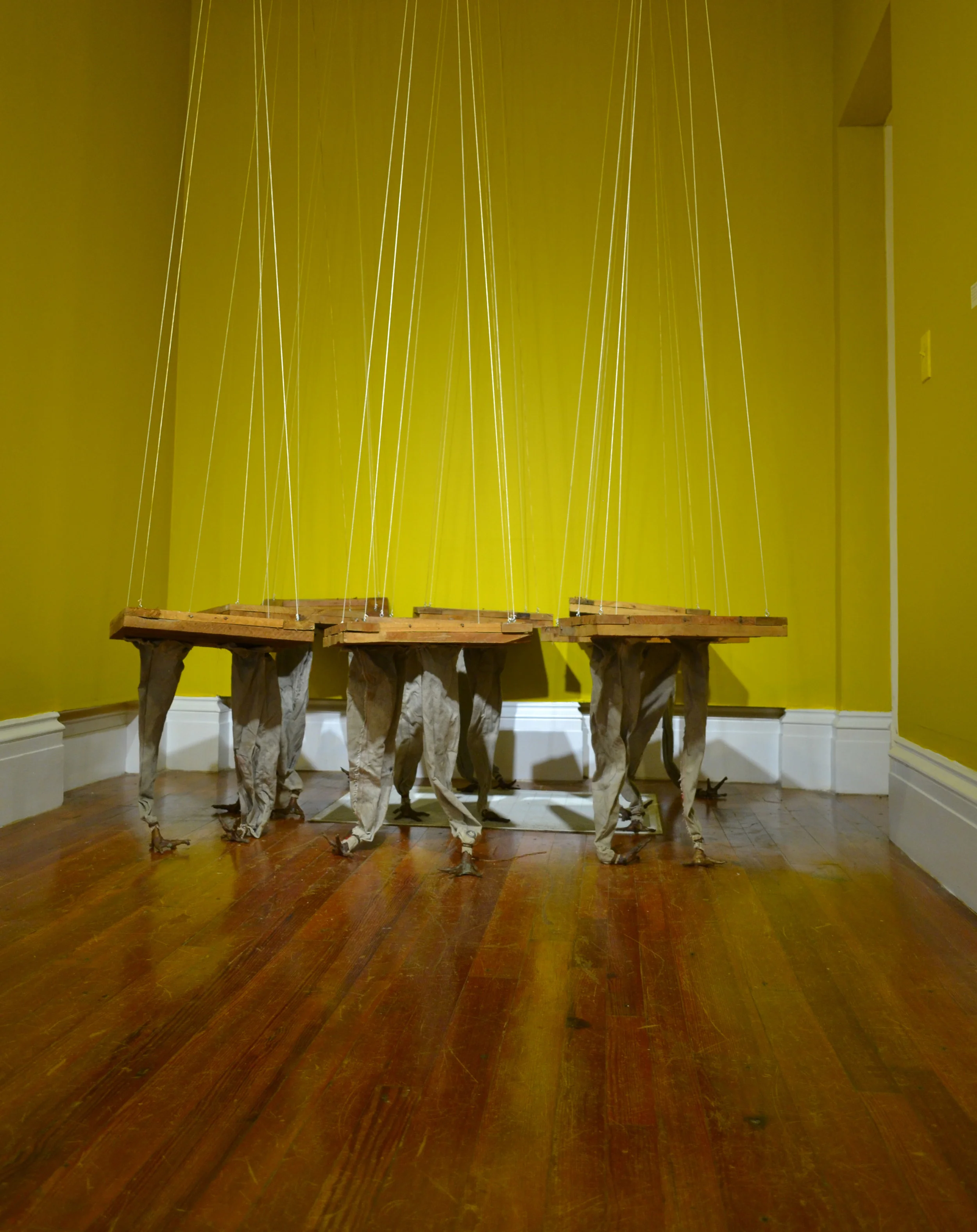 ‘Domestic Chickens’ (2007), Kendra Frorup, mixed media installation, dimensions variable. Part of the National Collection. Image courtesy of the NAGB. 