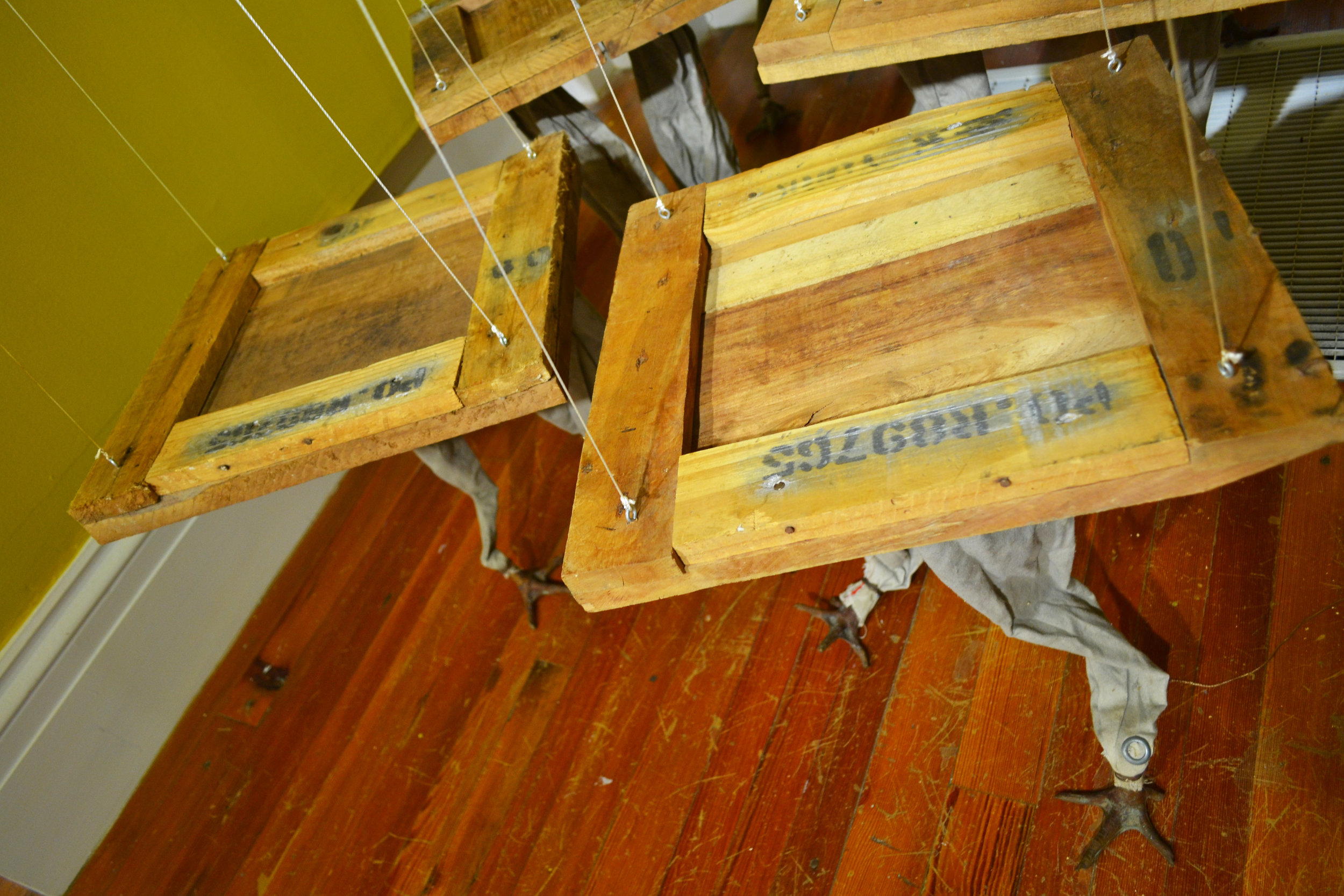  Installation shot of ‘Domestic Chickens’ (2007) as seen in the NAGB Permanent Exhibition ‘Revisiting An Eye For The Tropics’.