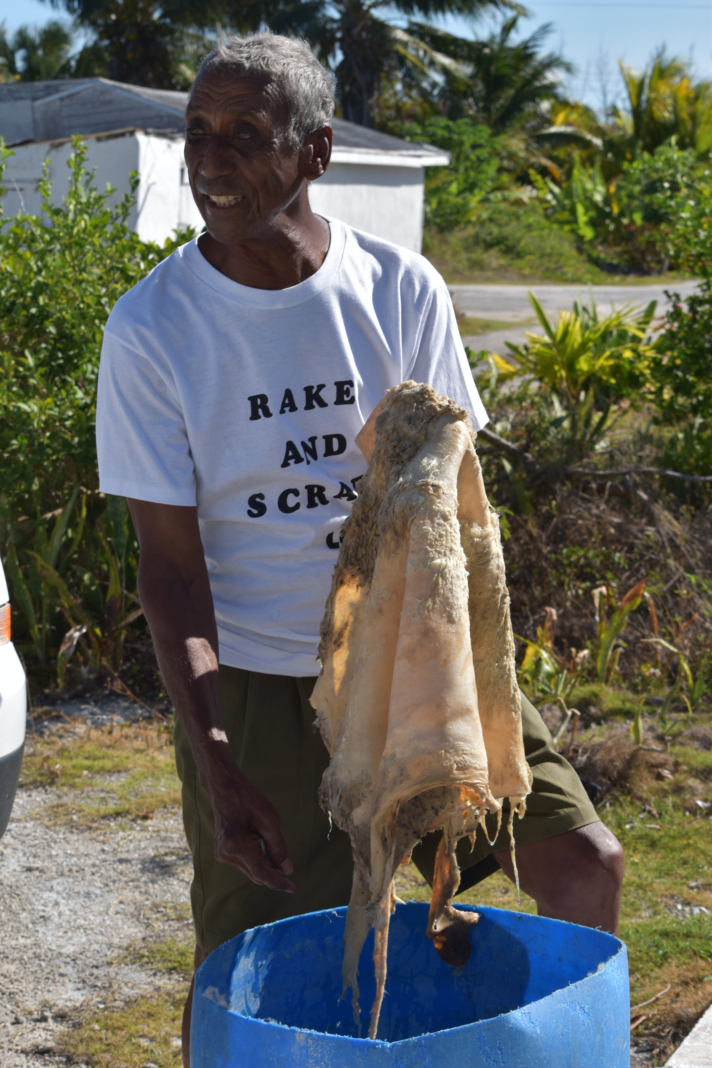Rake 'n' Scrape master, Orlando Turnquest, demonstrating how to clean a goat skin in lime and water in Long Island.