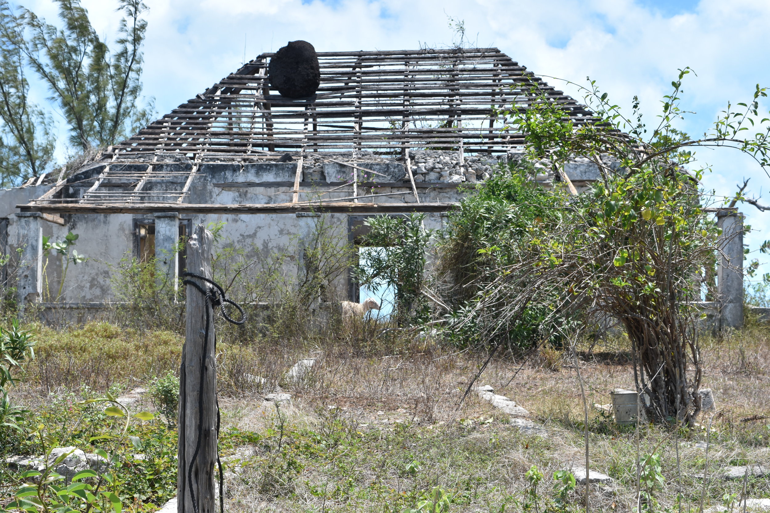 The Bowe Plantation crumbles history with every passing year taking with it much of our intangible history and culture.