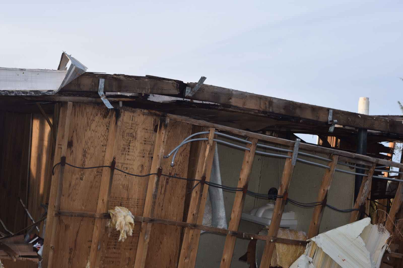 Post-Matthew devastation. Images by Dr Ian Bethell-Bennett.