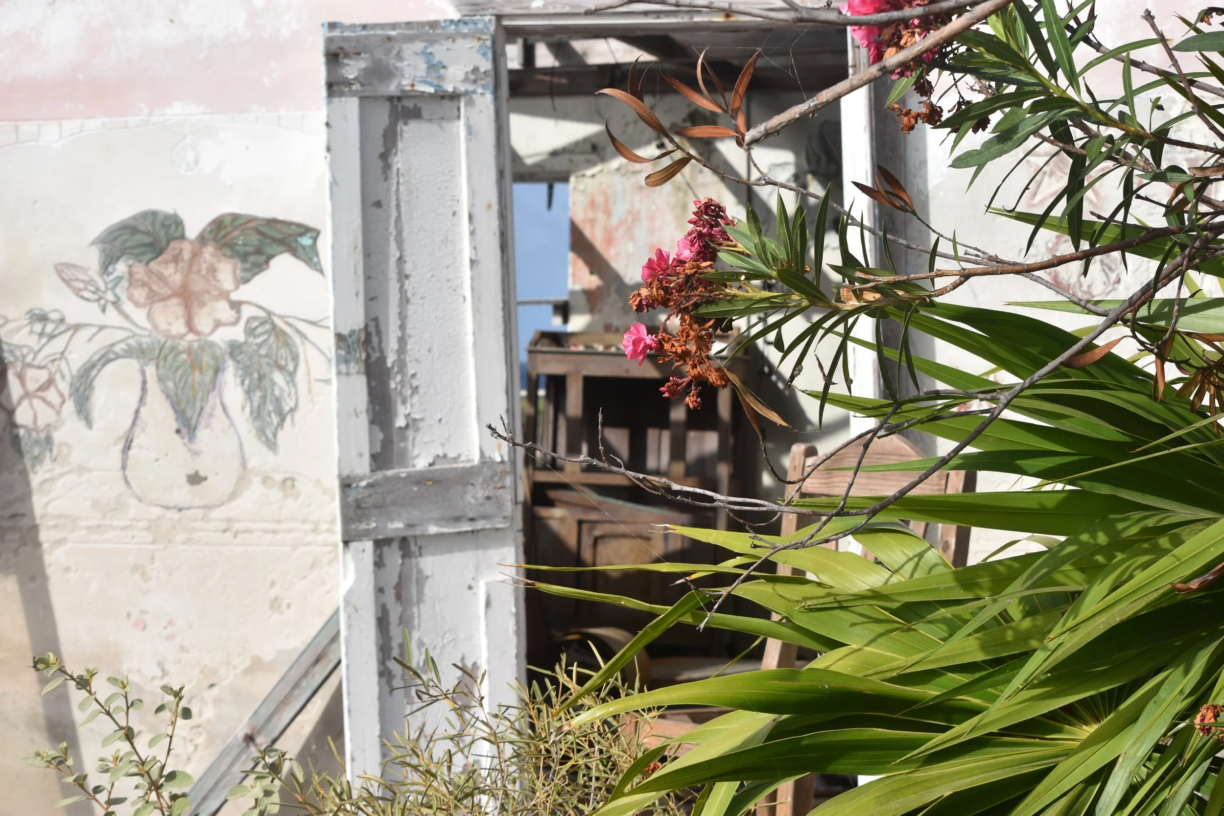 Art in daily life. Blooms of oleander and sketchings on a wall on Ragged Island. Images courtesy of Dr Ian Bethell-Bennett.