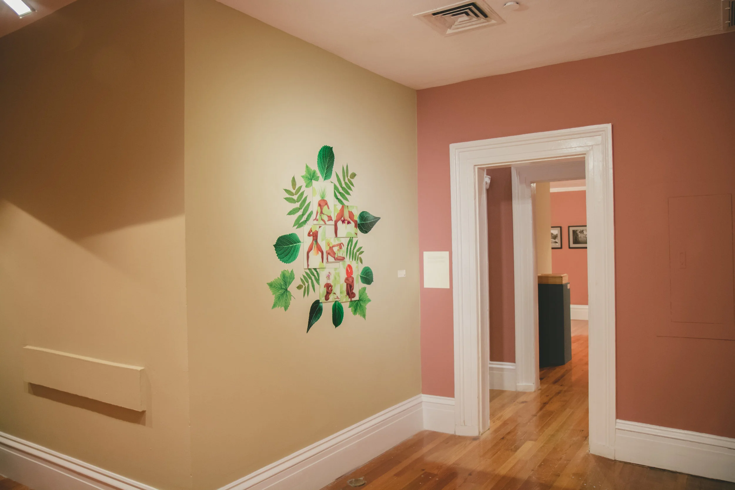 Installation of ‘Self Pollinate” series (2018), by Jalan Harris. VInyl on acrylic, dimensions variable. Works courtesy of the artist.